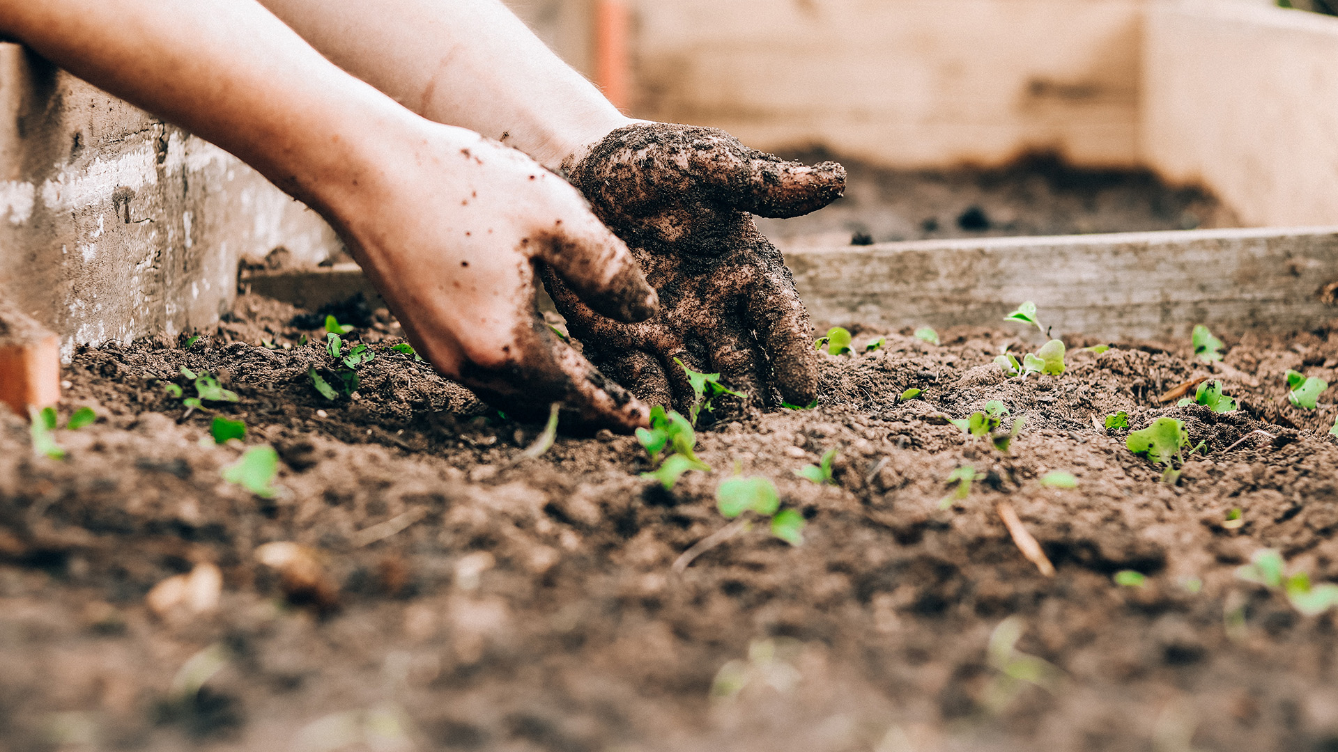 Garden-Trends-Hemlängtan-hand.jpg