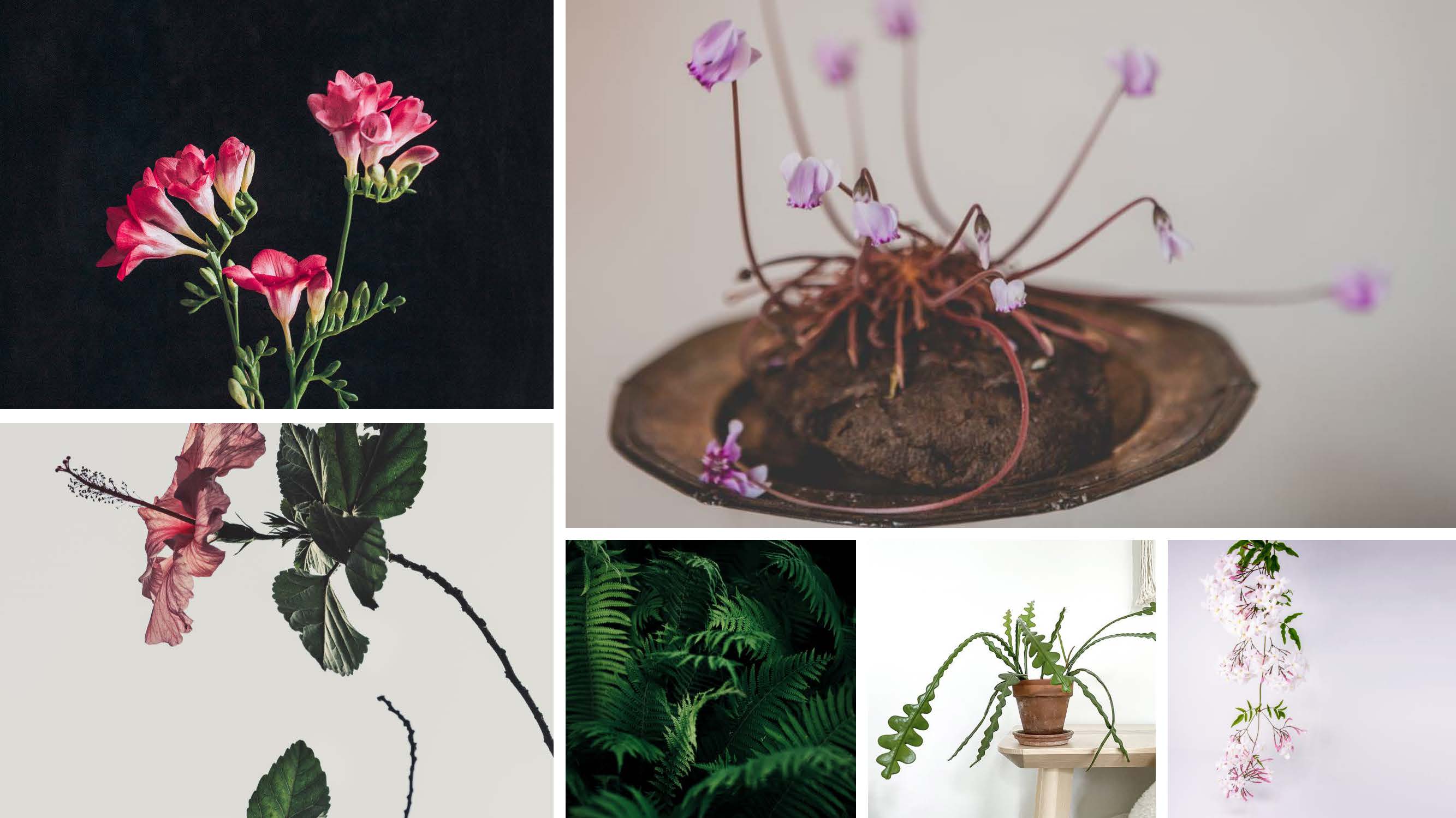 Garden-Trends-Hemlängtan-Växter-inne.jpg