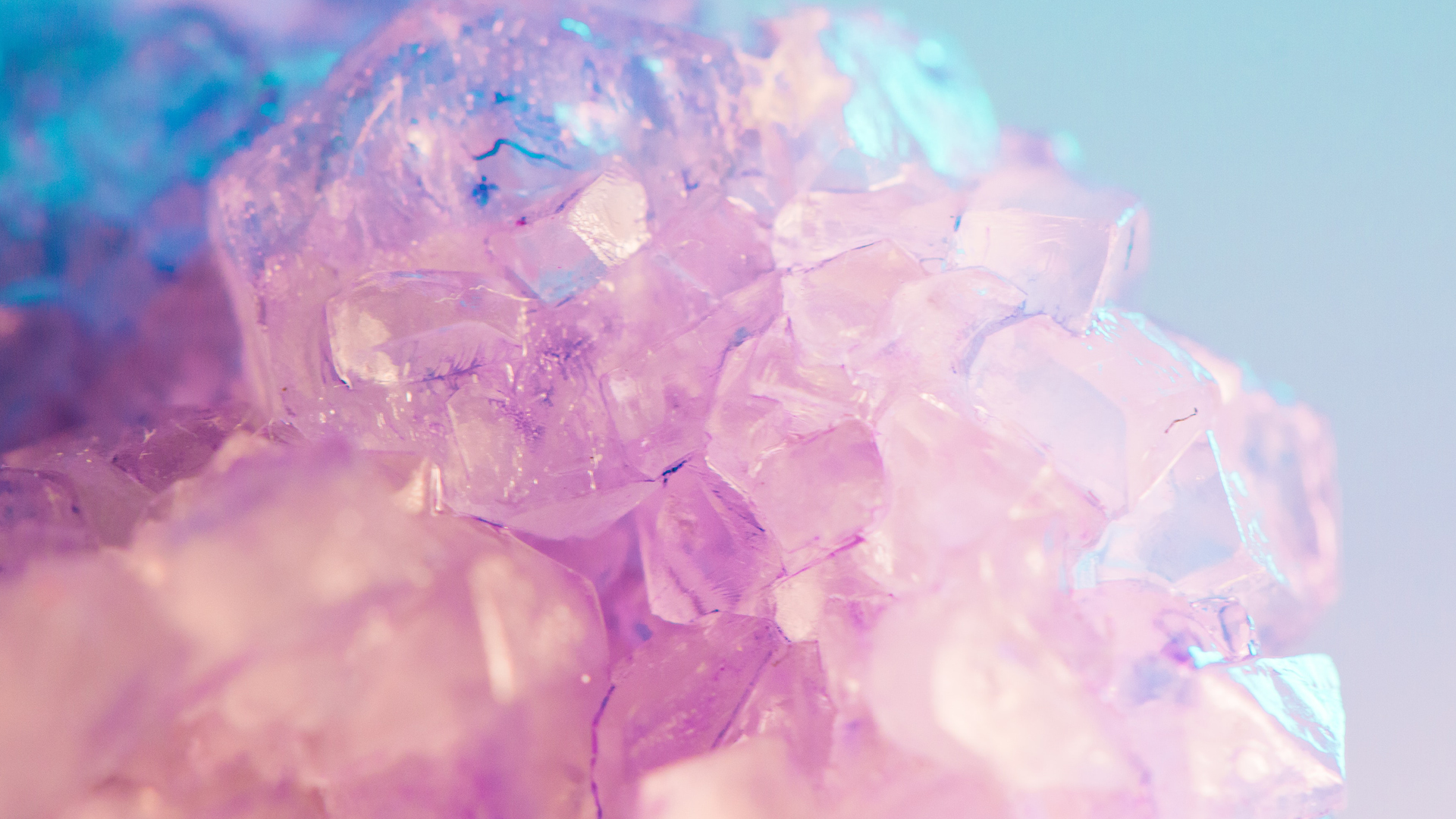 Material Dream Garden4.jpg