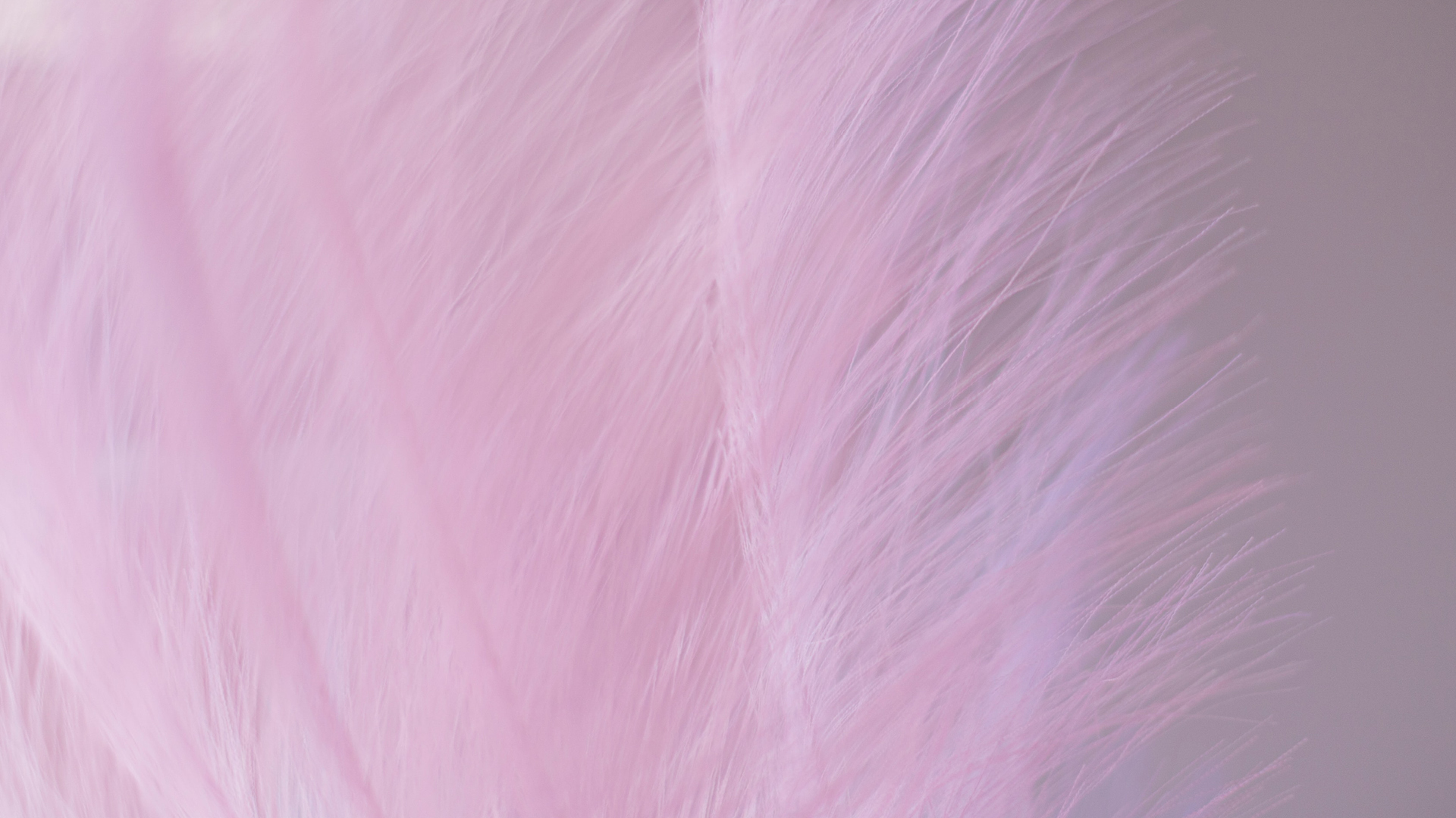 Material Dream Garden5.jpg