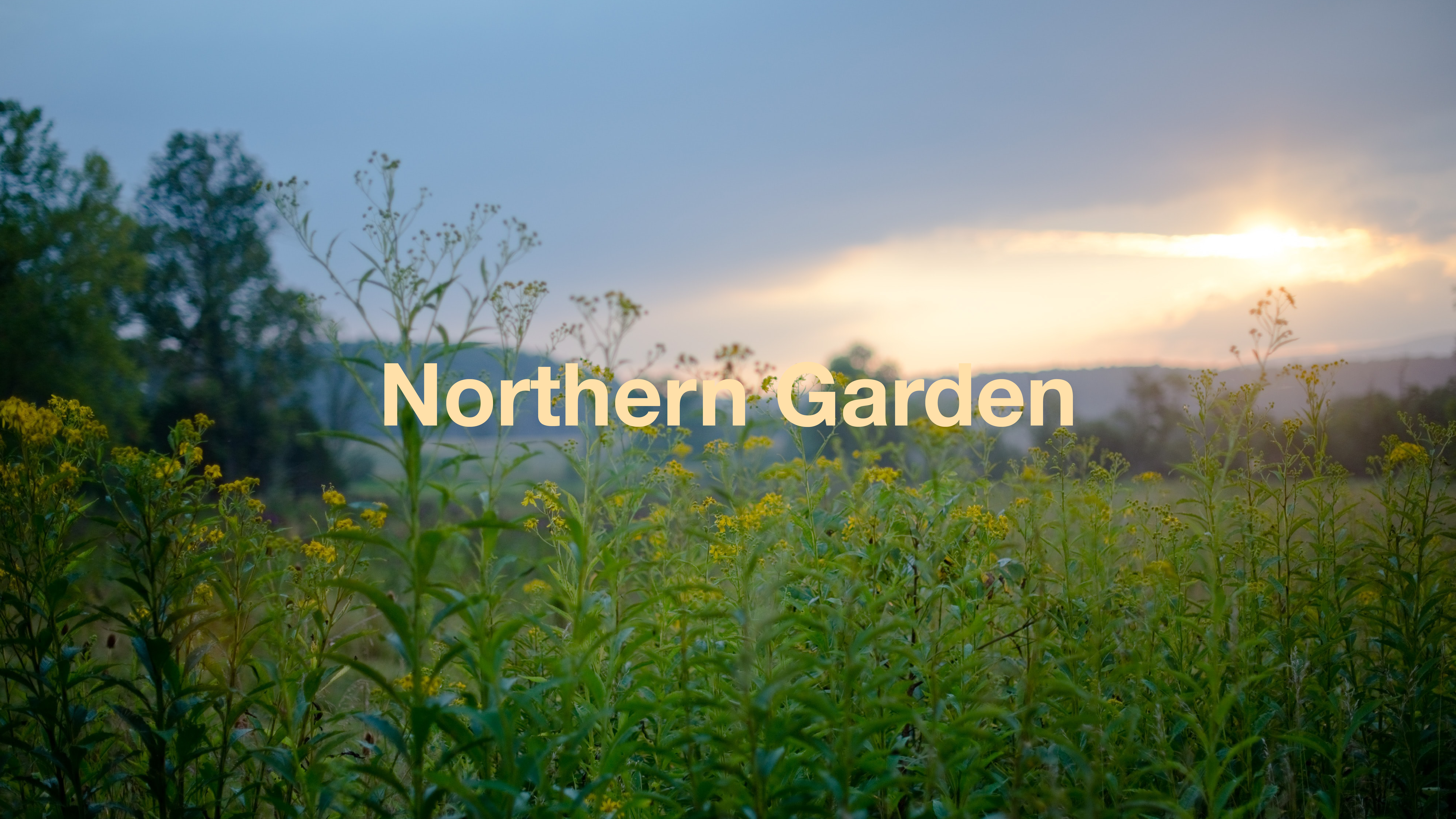 Northern Garden