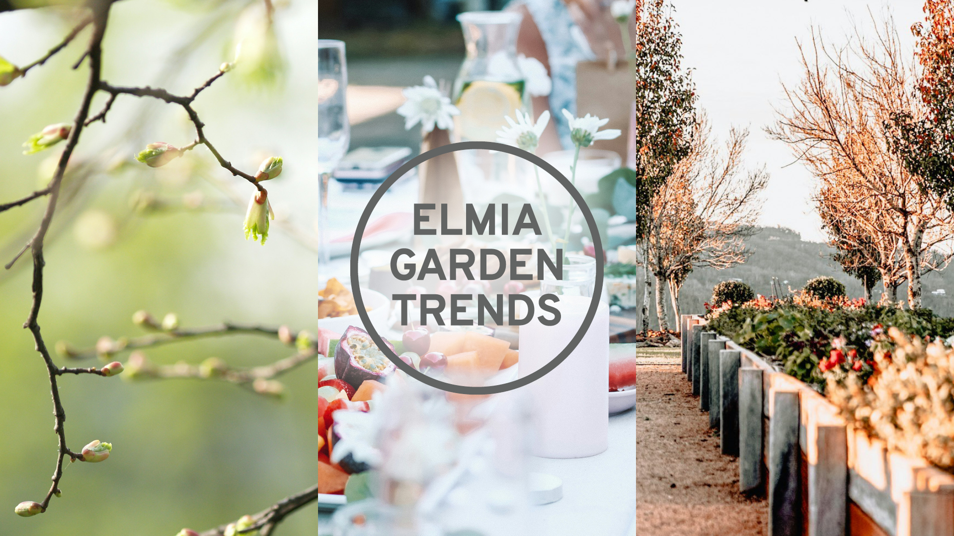 Vad trendar i trädgårdsbranschen? Här är Elmia Garden Trends 2025