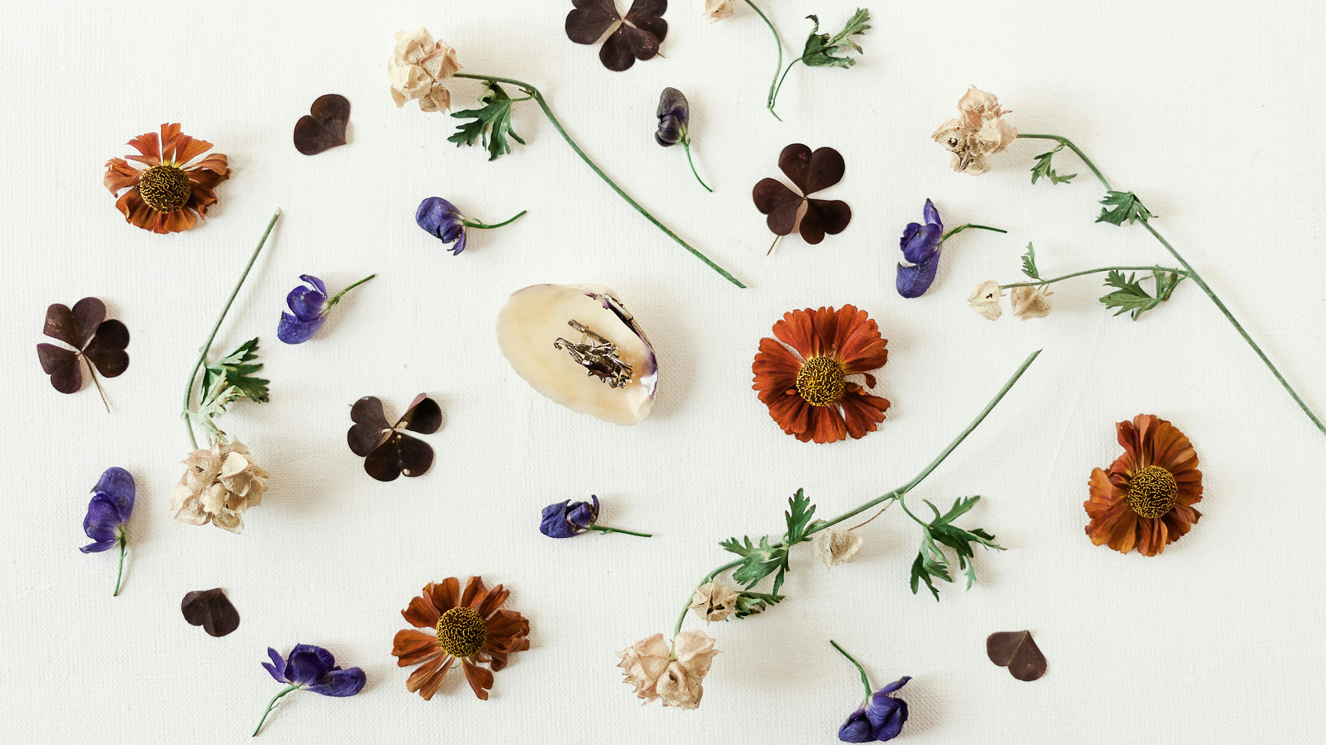 Växter i trenden Hälsokraft