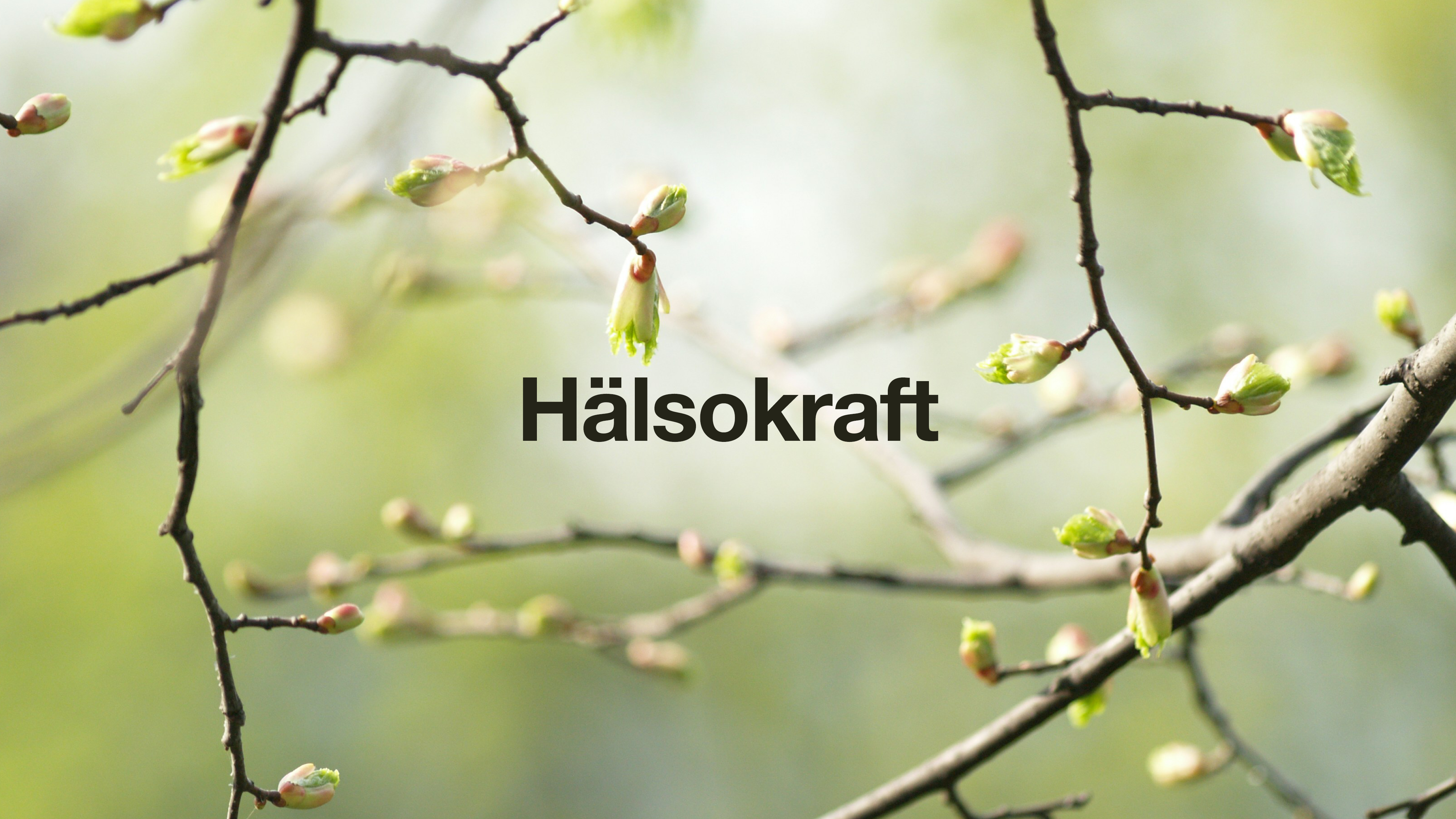Hälsokraft