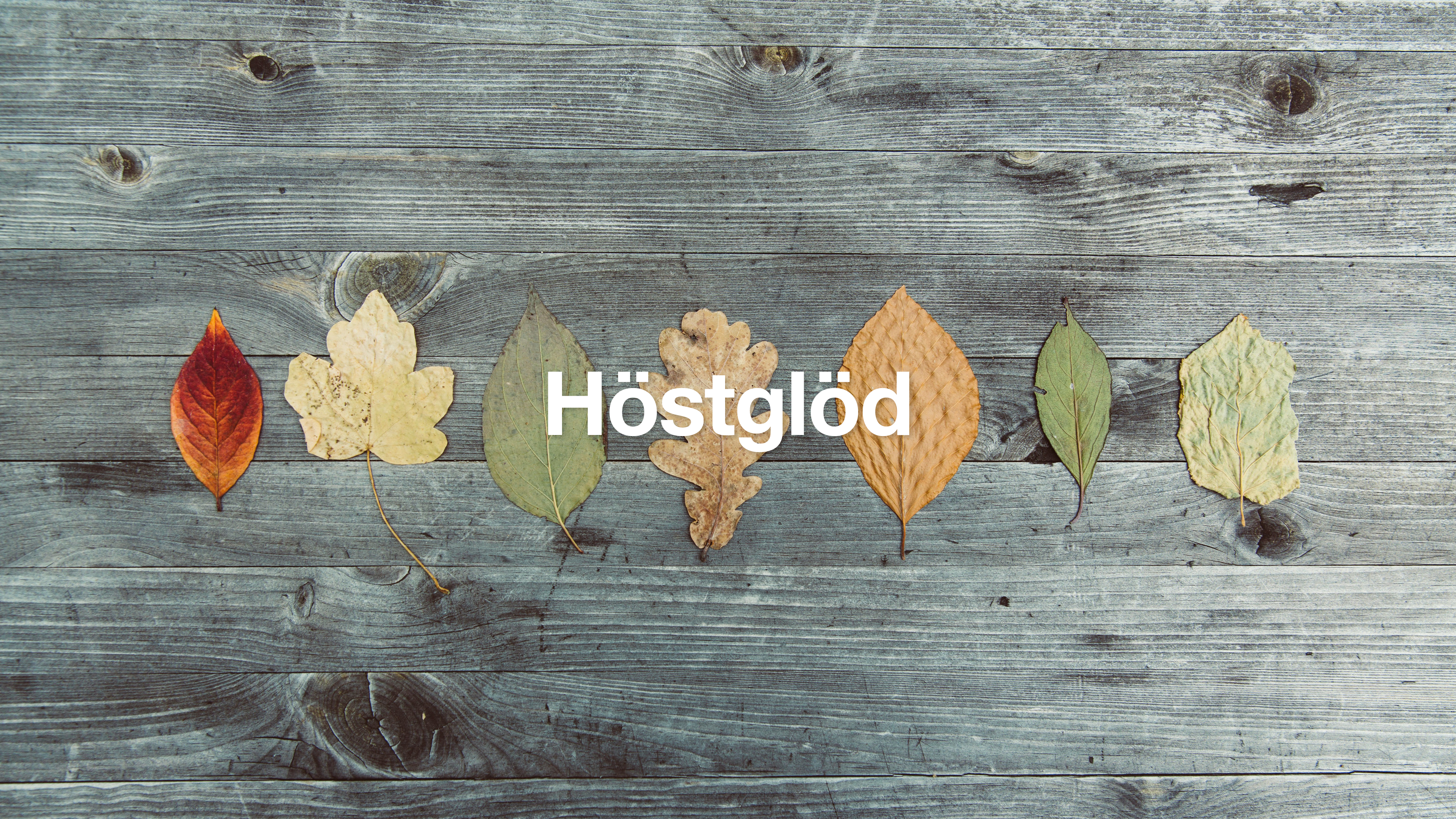 Höstglöd