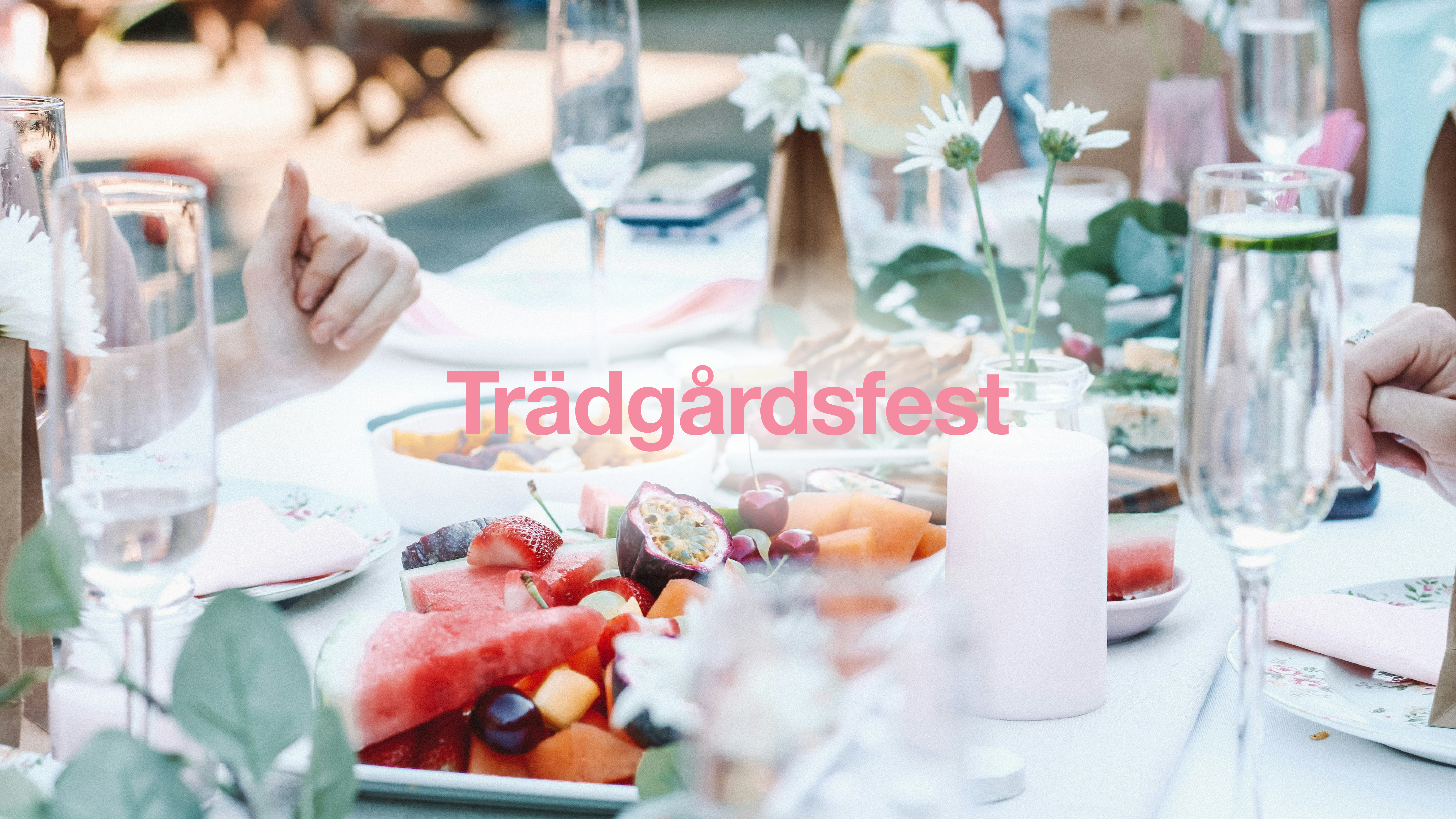 Trädgårdsfest