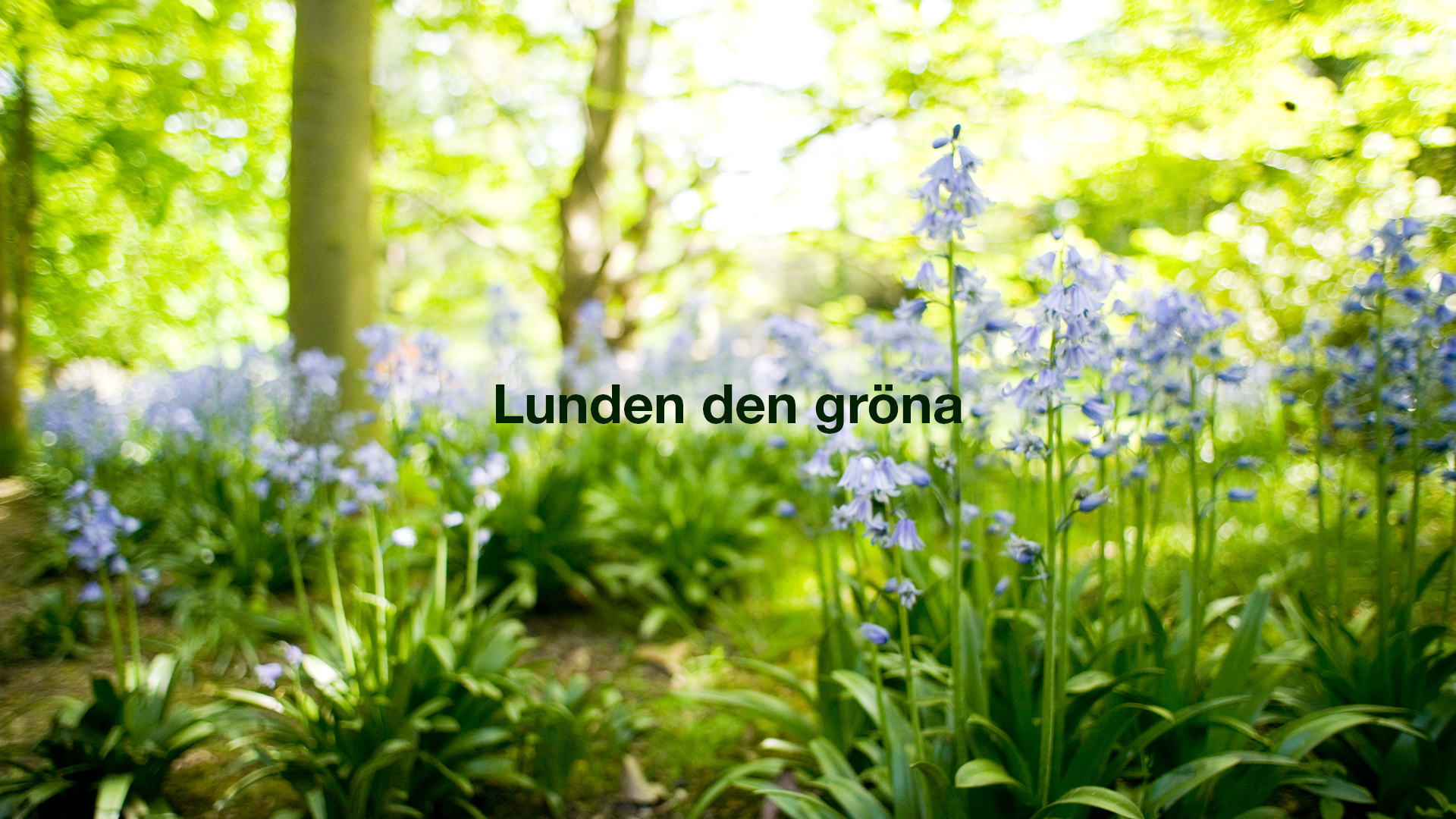 Lunden den gröna