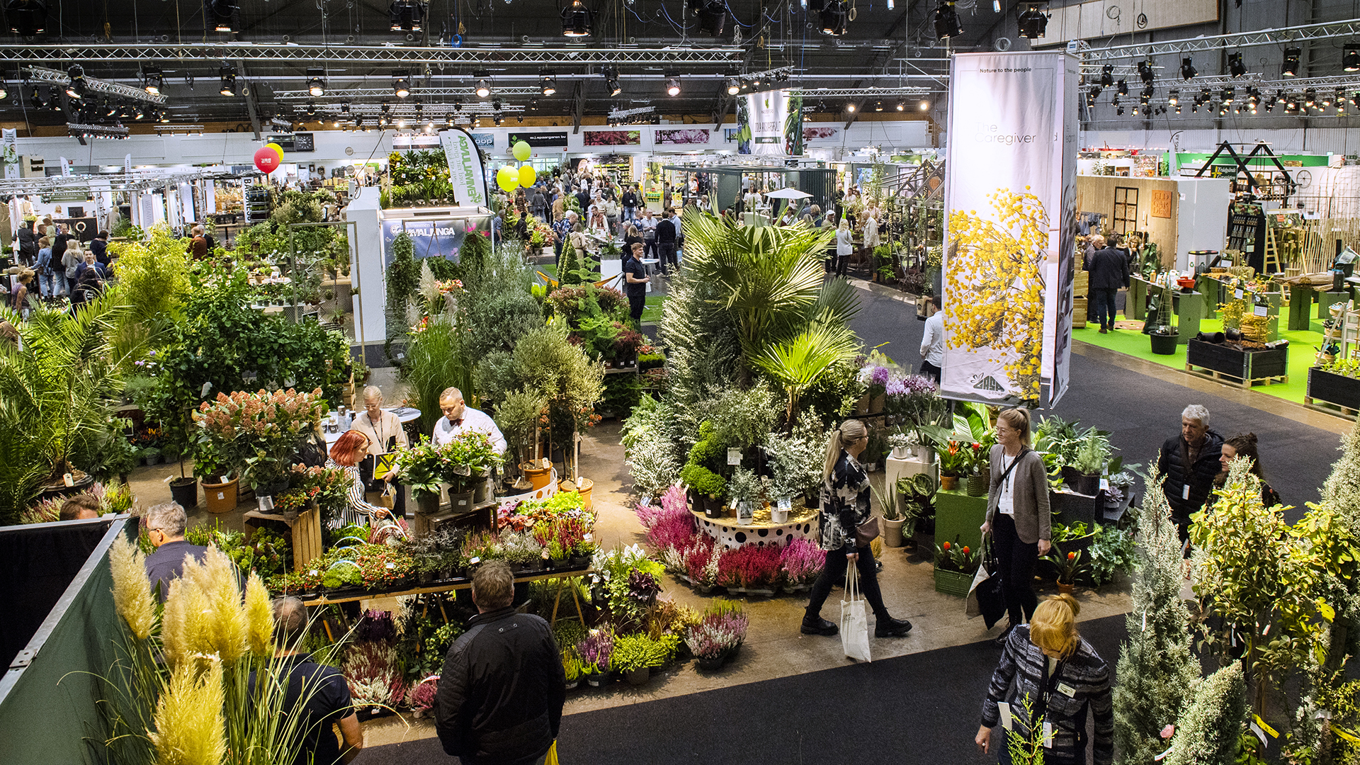 Många nya utställare på Elmia Garden