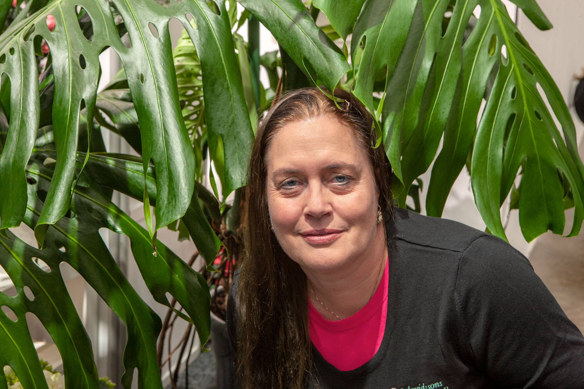 Grönt är skönt enligt Arvidsons i Fjärås