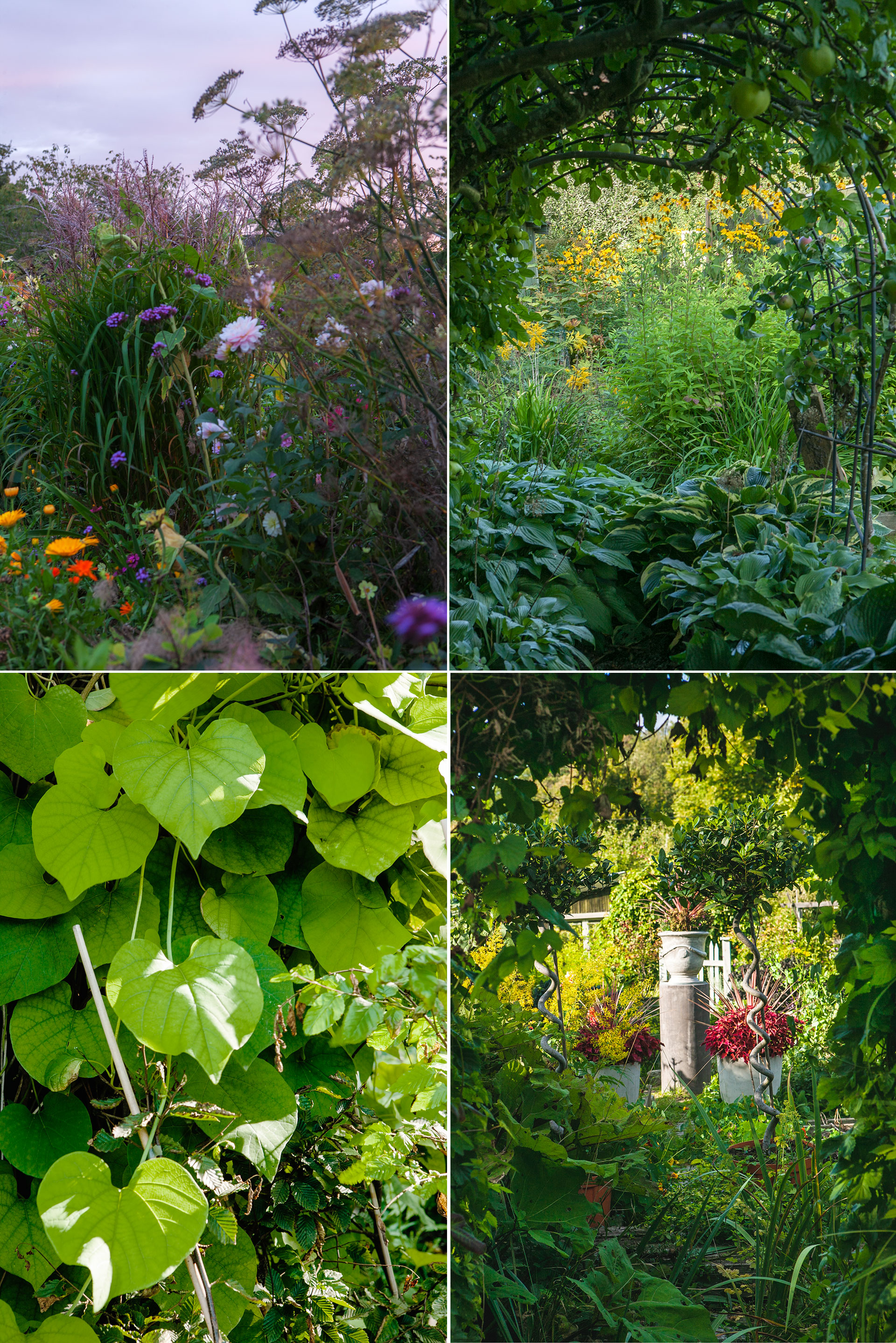 Vik söndagen för Tusen trädgårdar