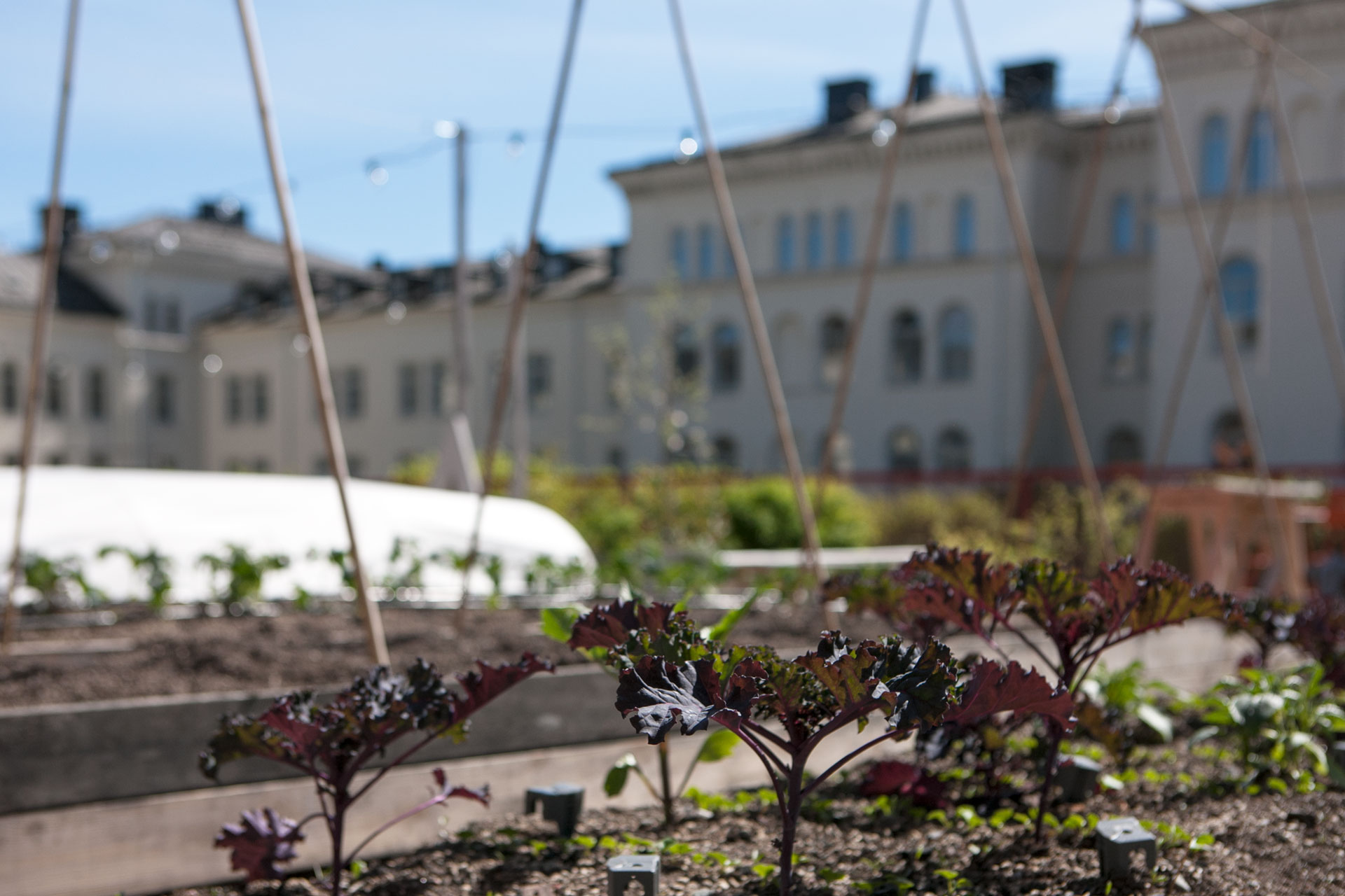 takodling-stockholm-h-kaasik.jpg
