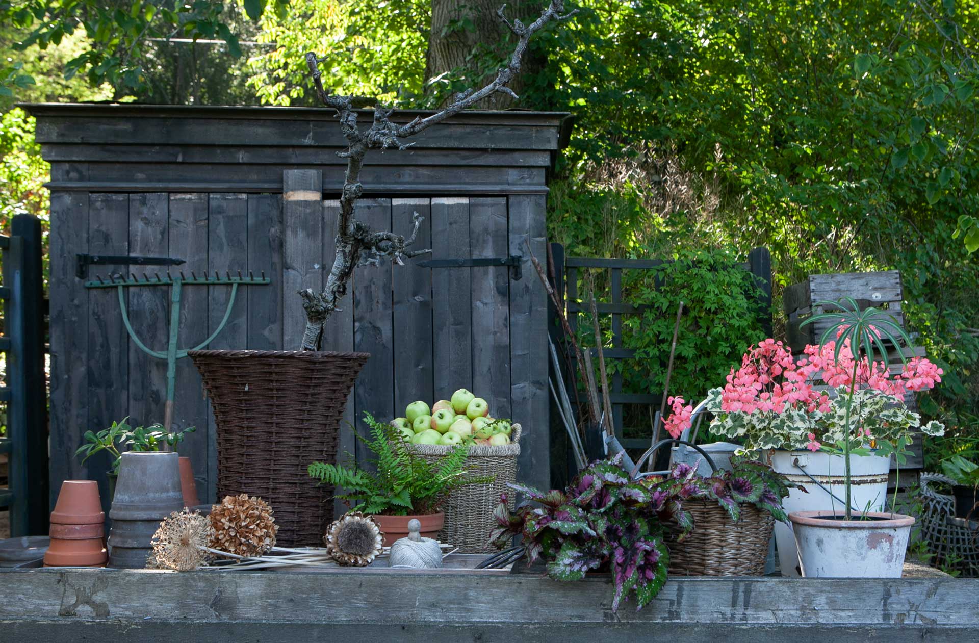 Trendfilmerna – så skapar du stilen från inspelningsplatsen