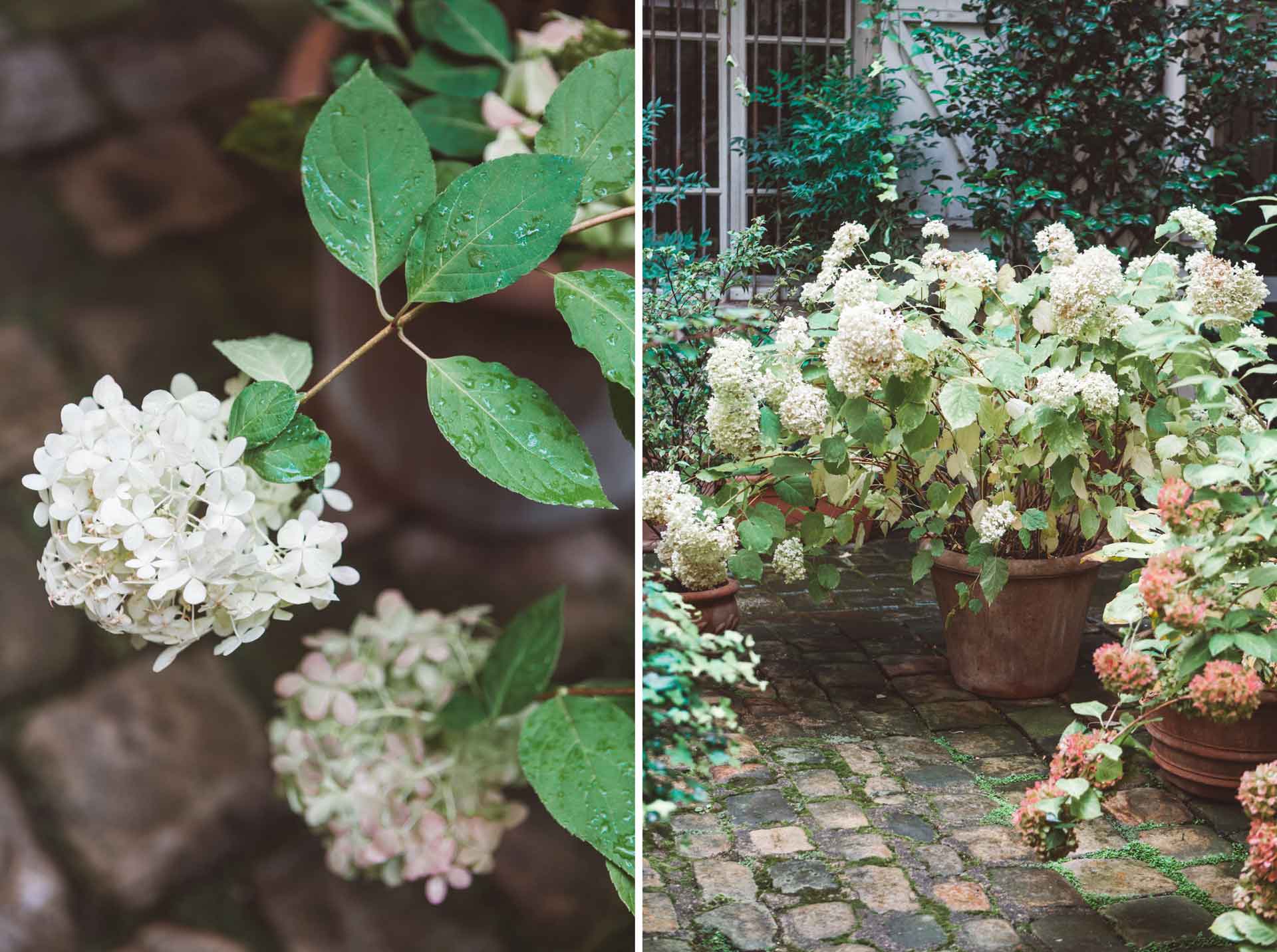 En trädgård i krukor är också en trädgård