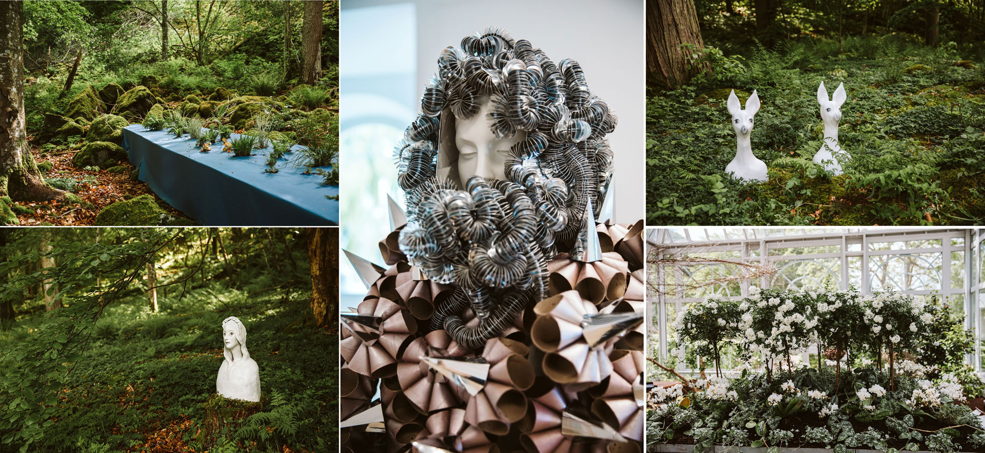 Sagan om gläntornas ljus på Norrviken