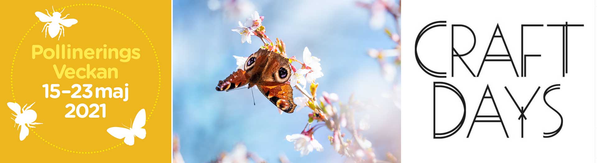 Konsthantverk och pollinerar i fokus under maj