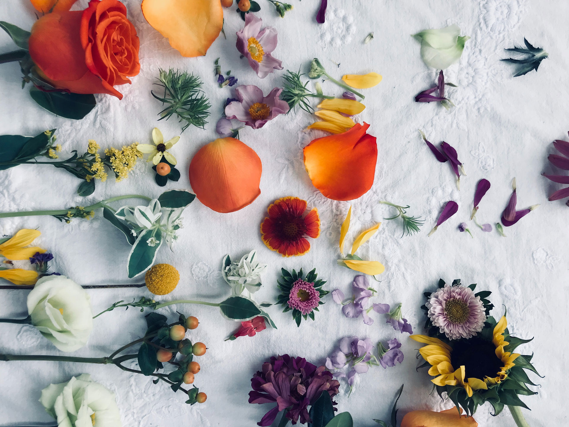 Kickstarta året med blommor i vas