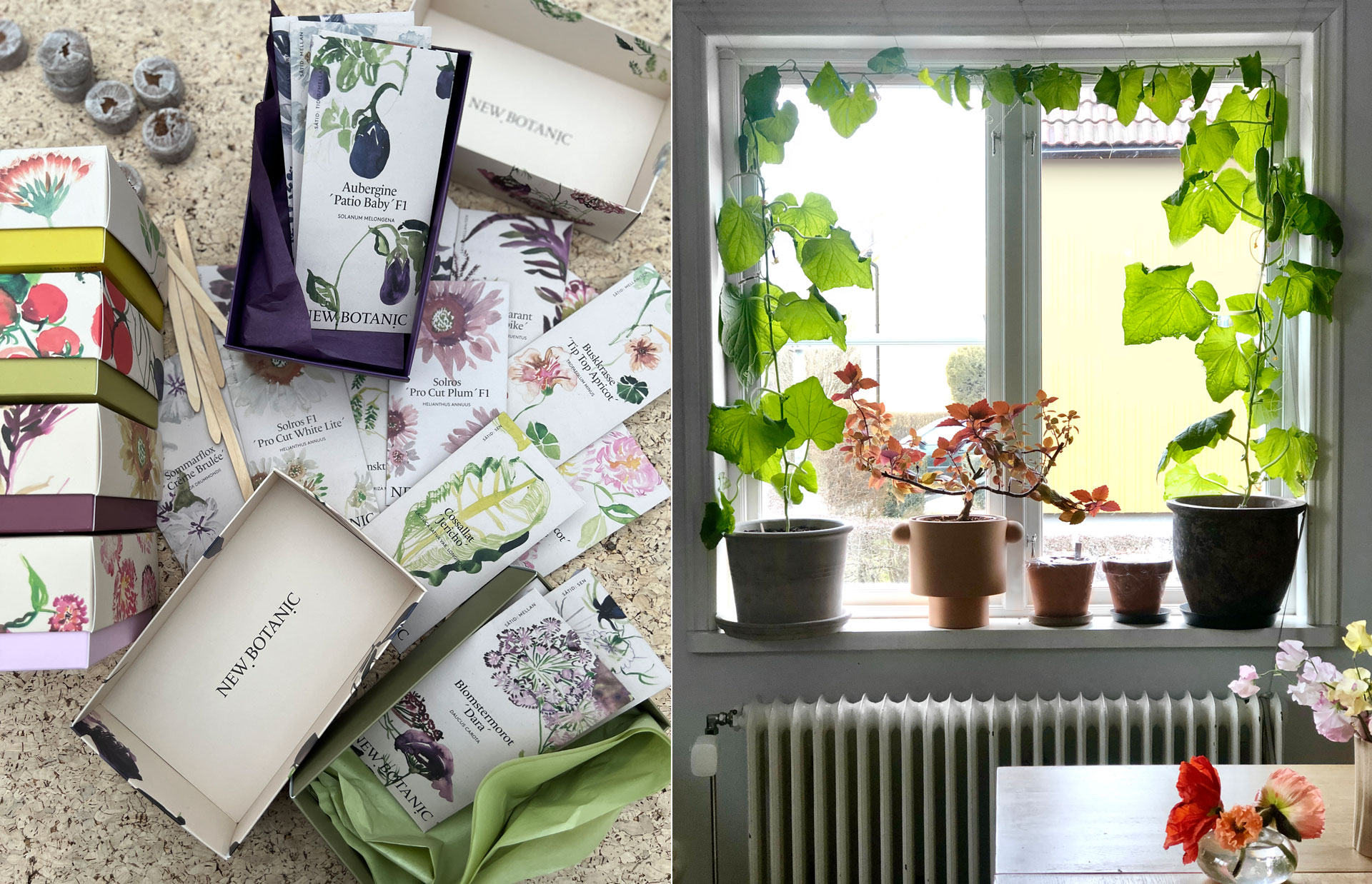 Odlingsdrömmarna nu lättare att förverkliga