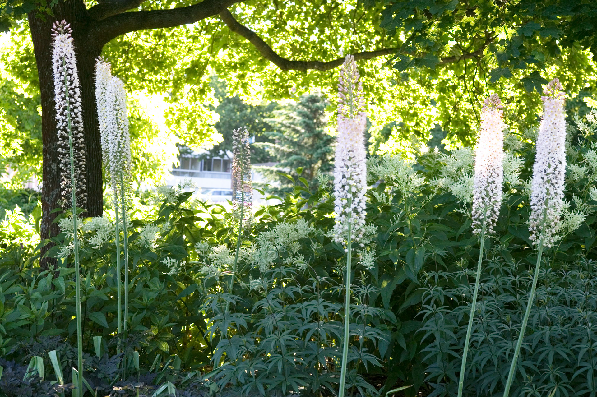 92DU1881Dro╠êmparken-nya-delen.jpg