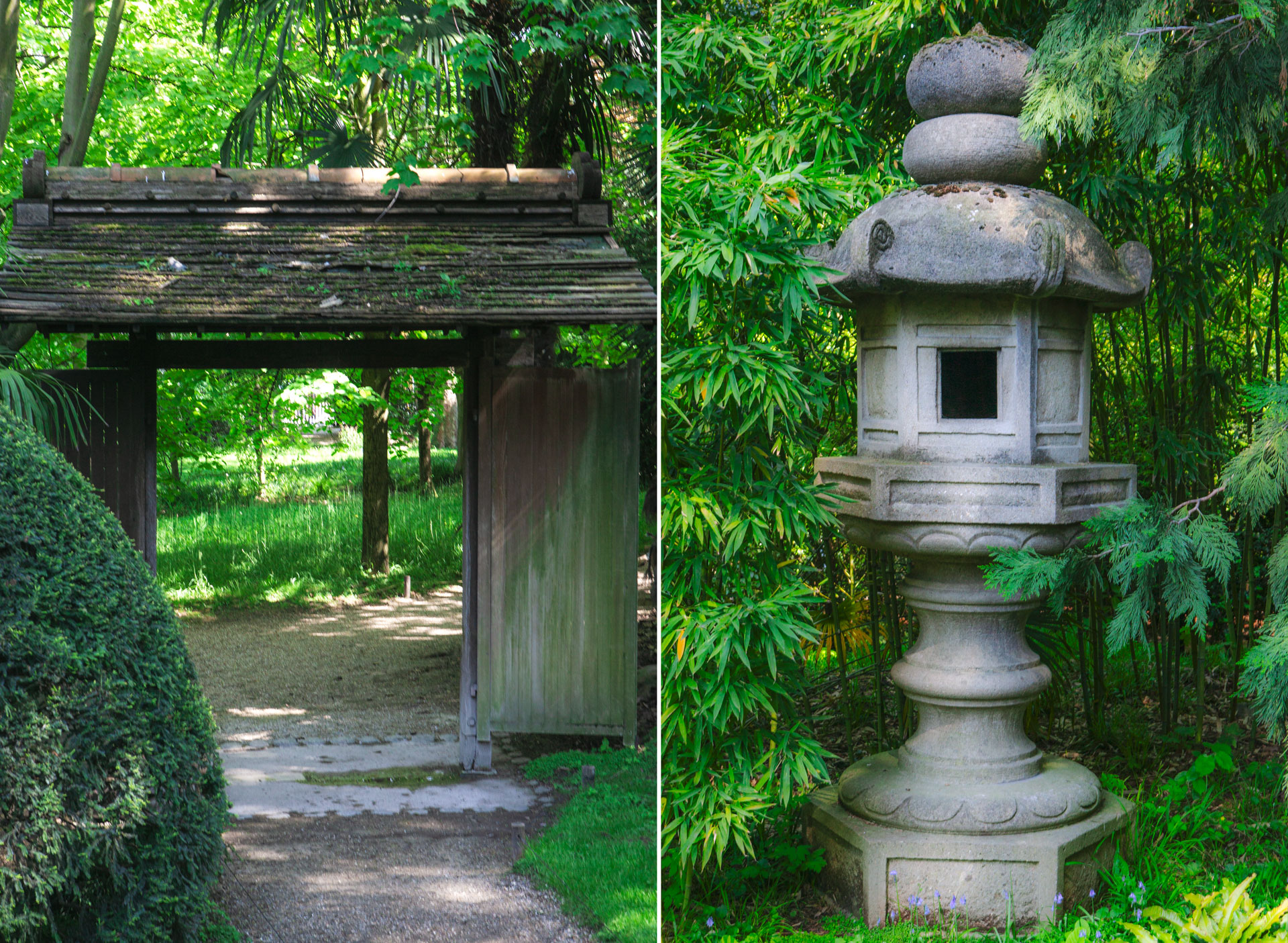 Harmoni i trädgården – så skapar du den japanska trädgårdsstilen