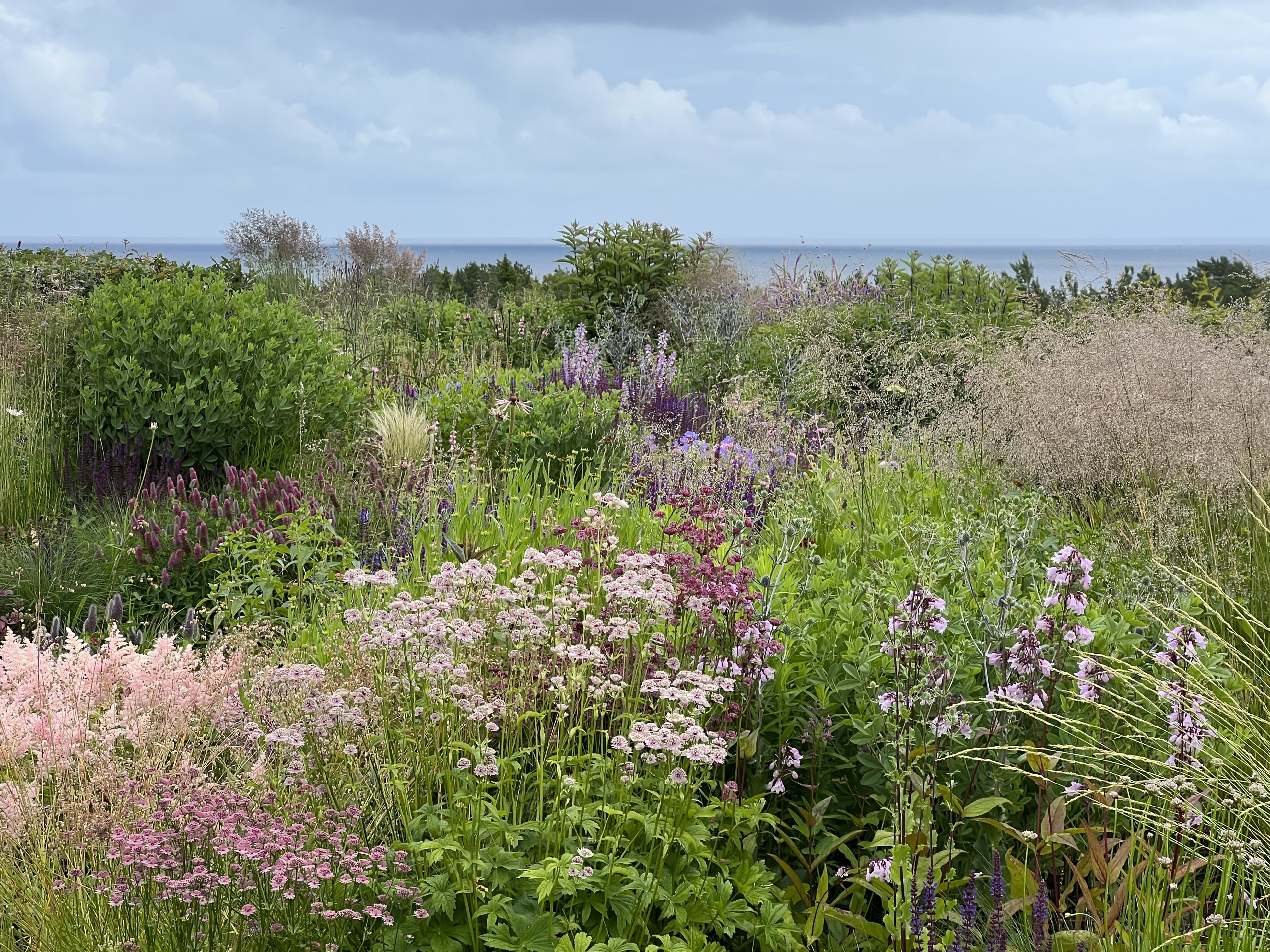 Mariann Gundersen (JustA╠â┬©y, Norway)_Nominee Garden design of the Year.jpg