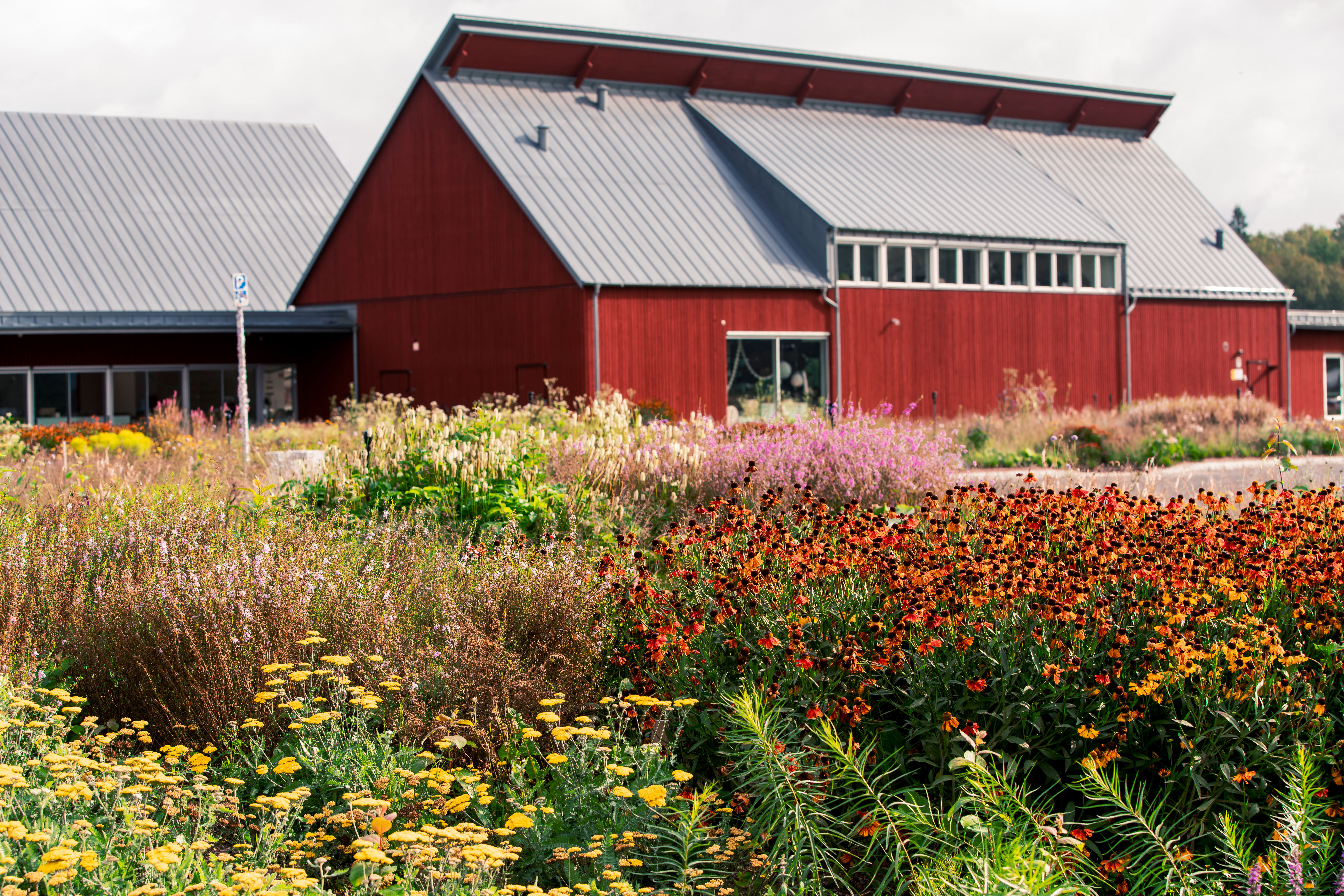 Piet Oudolfs trädgård på Vandalorum