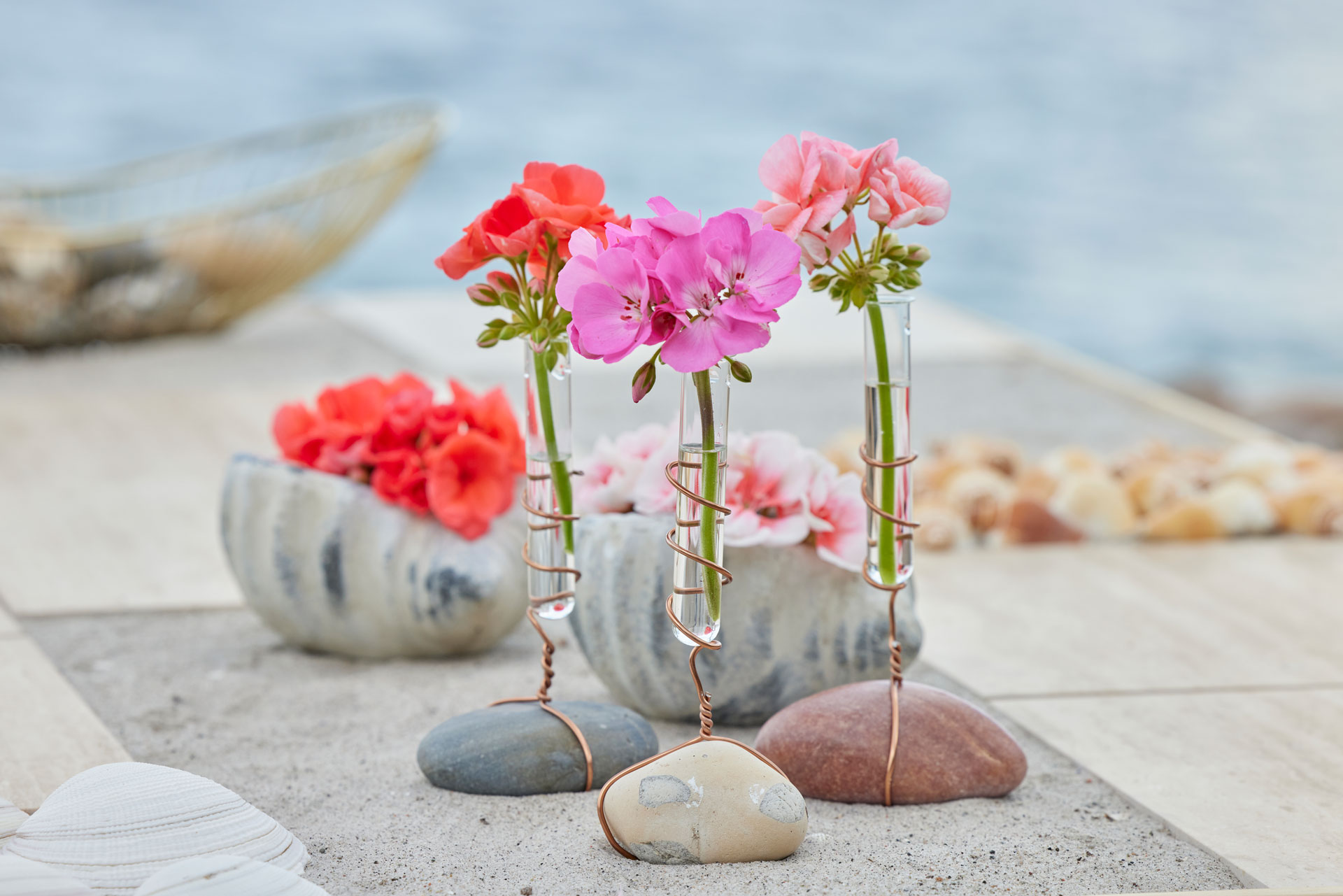 2023_Geraniums_2000_Coastal_Peace_Garden_26.jpg