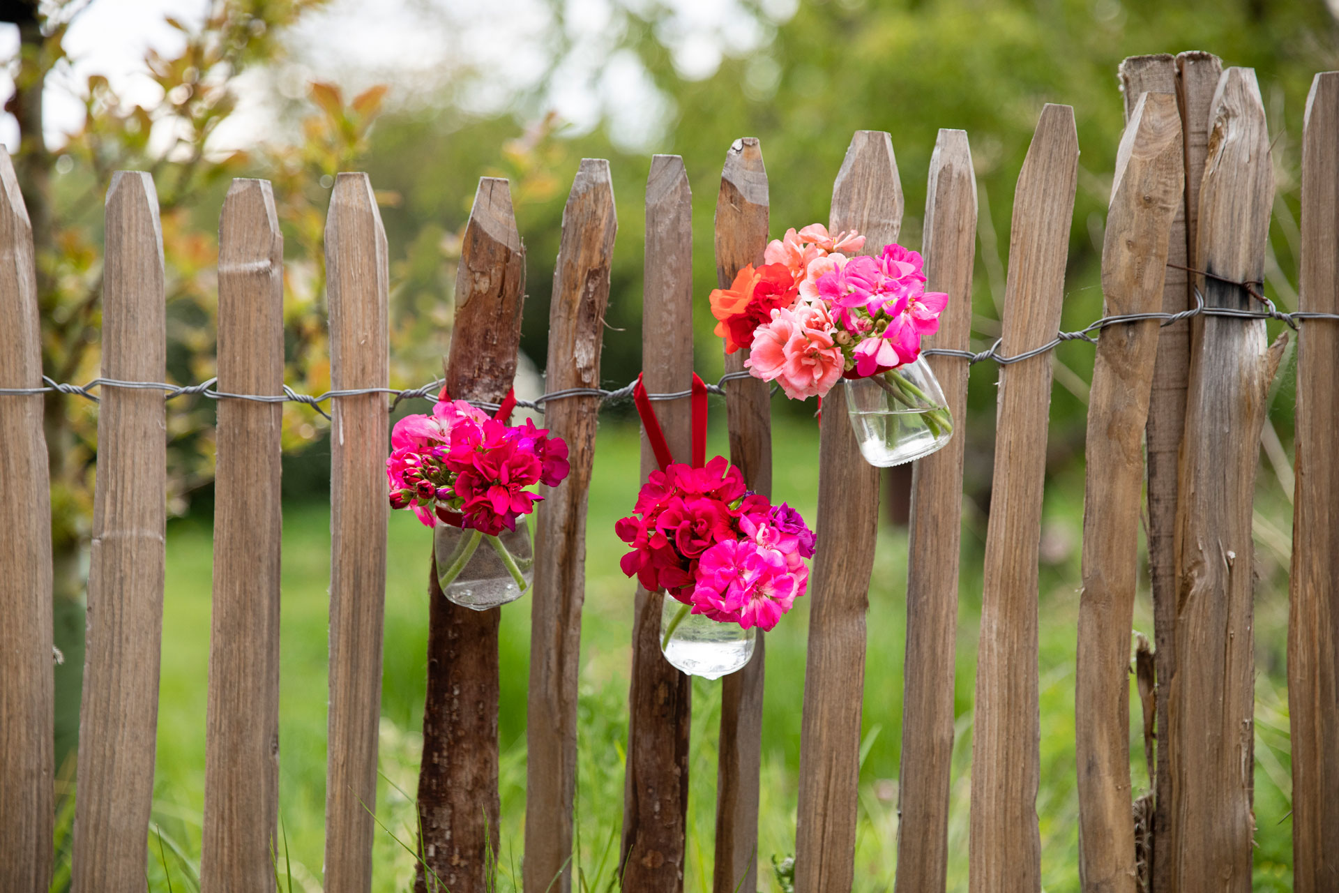 2023_Geraniums_4000_Warm_Country_Chic_10.jpg