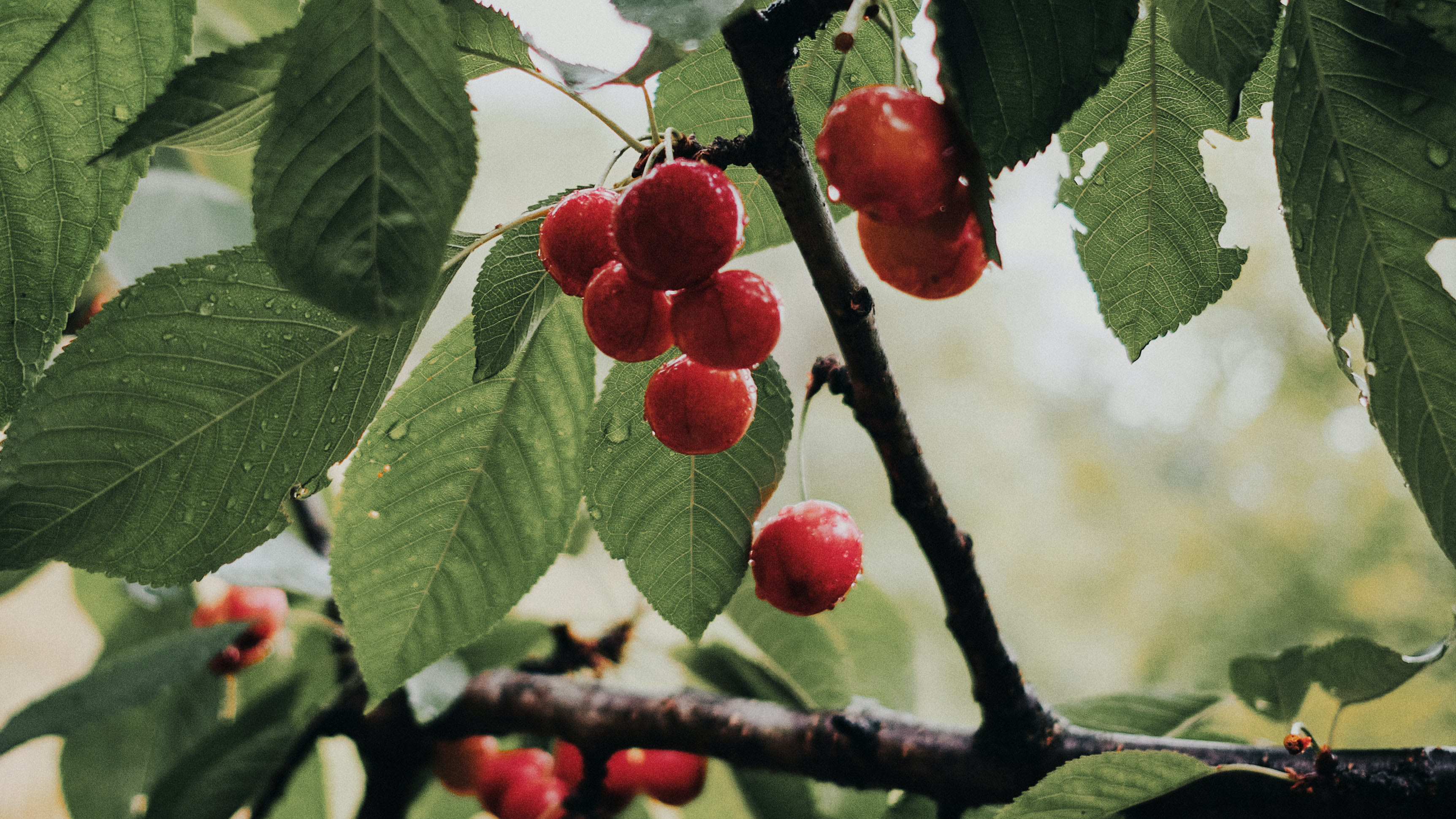 kristjan-kotar-Z_VKeB4zqAo-unsplash_besk.jpg