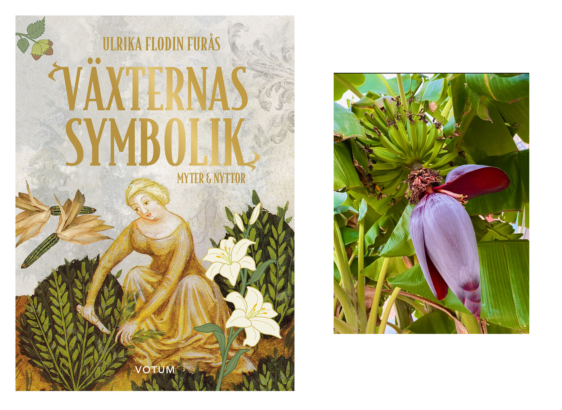 Va╠êxternas-symbolik.jpg