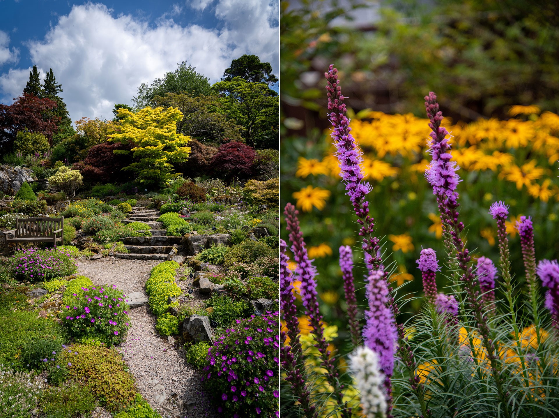 Torktåligt för trädgården - vad ska jag odla vid ett varmare klimat?