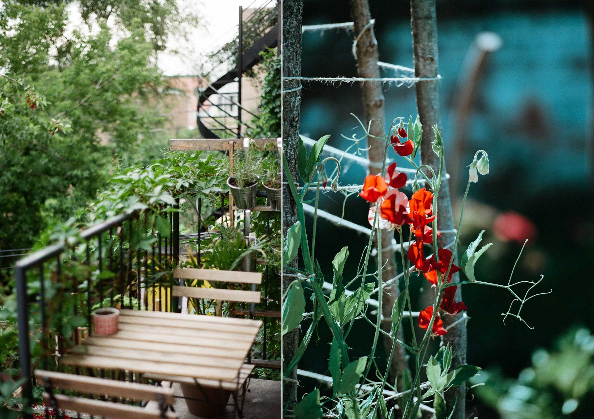 Så skapar du en väldoftande balkong