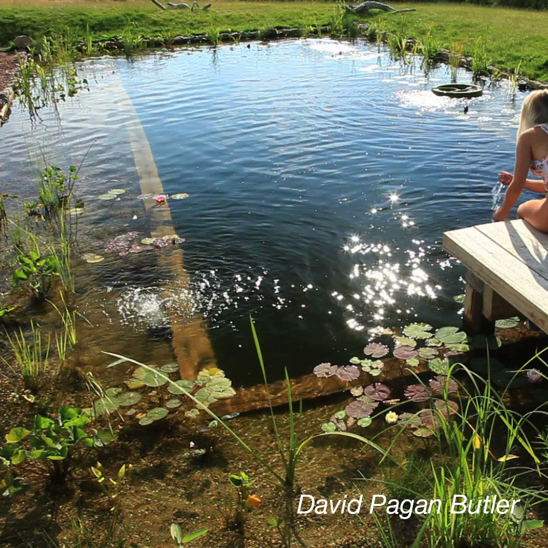 Naturpooler: Nu byter vi den turkosblå fyrkanten till en sjöliknade pool