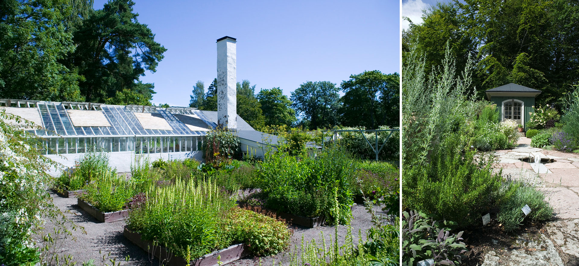 Så skapar du din egen Örtagård – En grön plats för alla sinnen