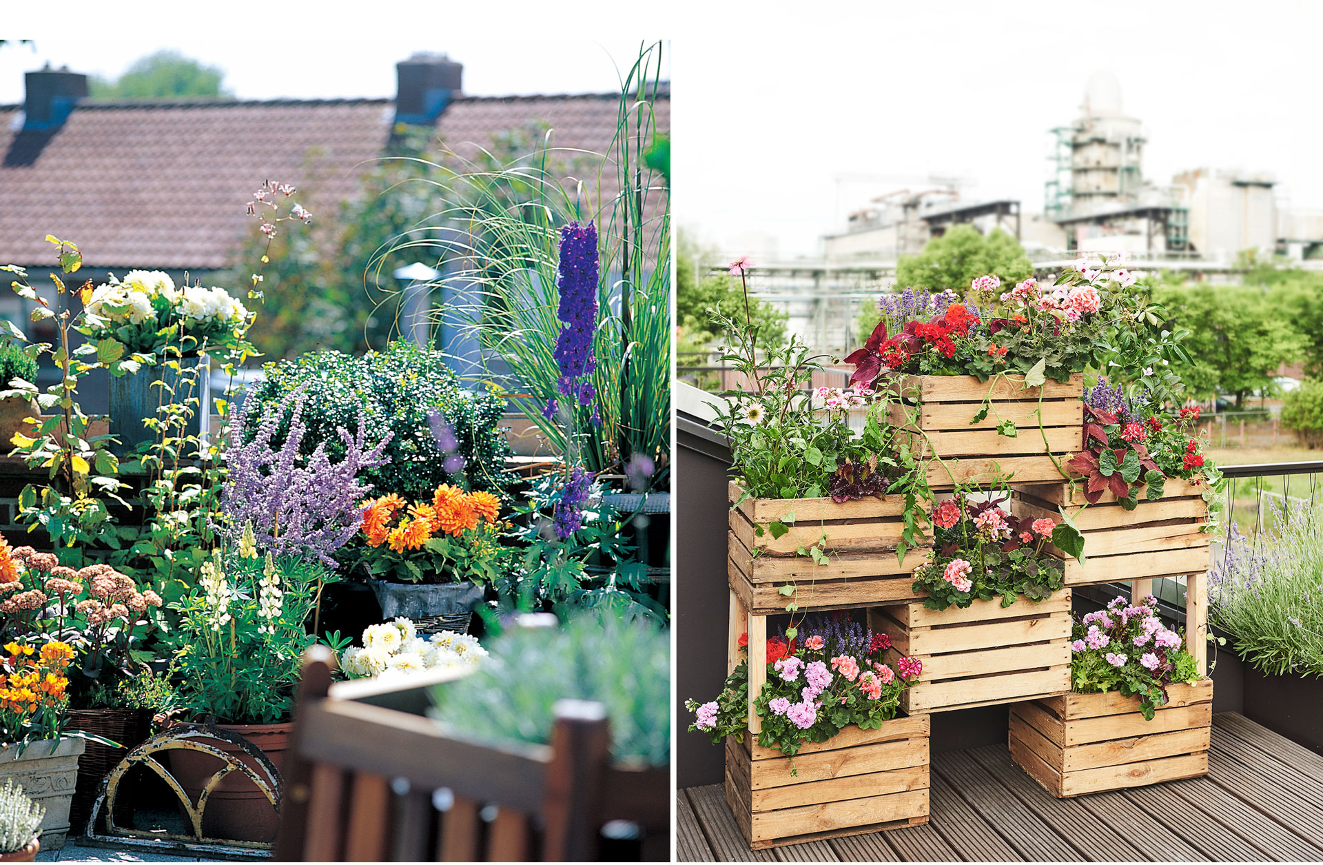 Odla på balkong – våra 5 bästa tips