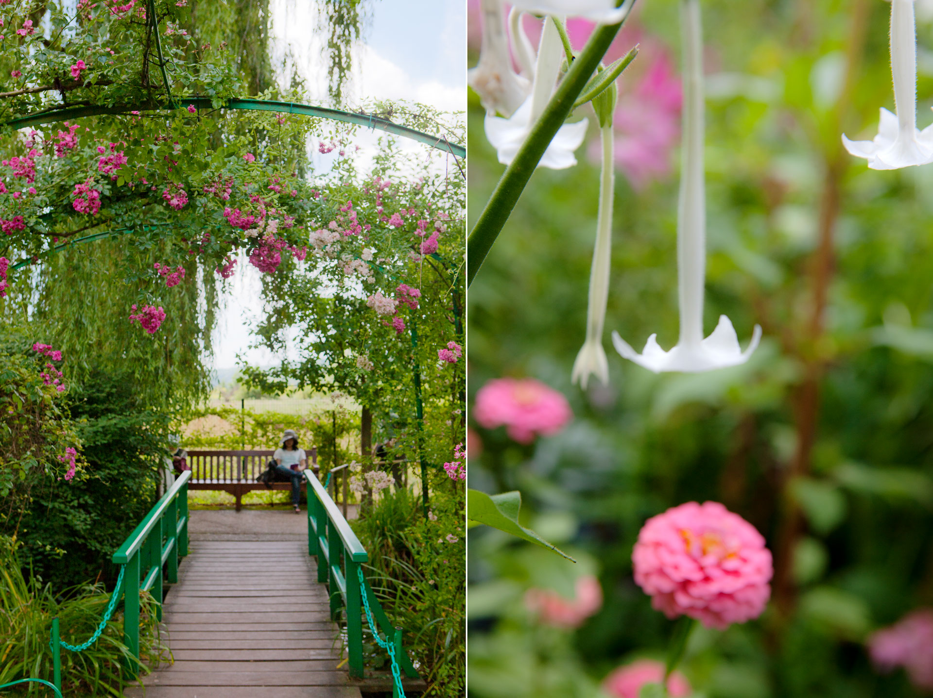 monet-bro-sommarblommor.jpg