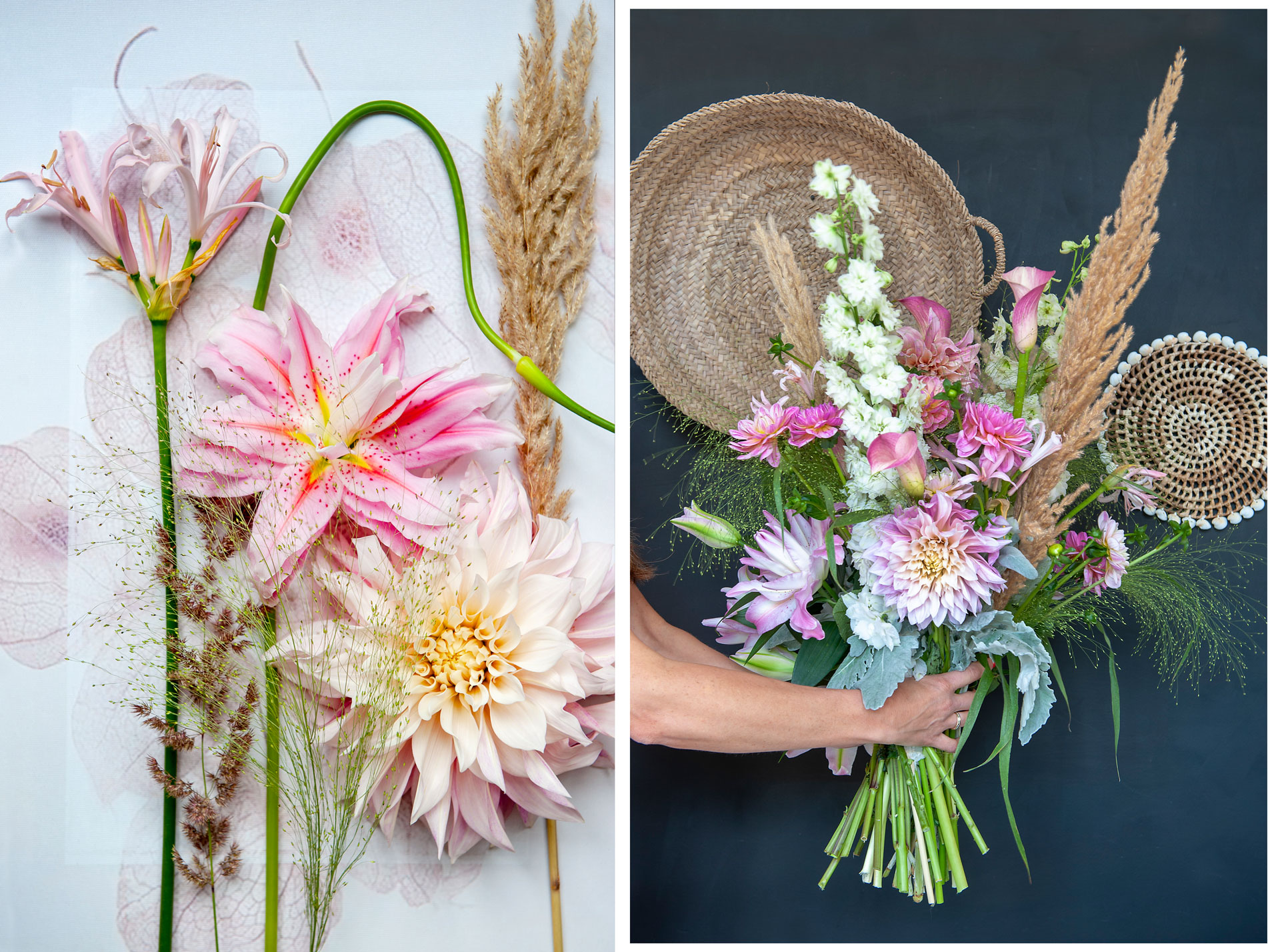 Älskade dahliaknöl