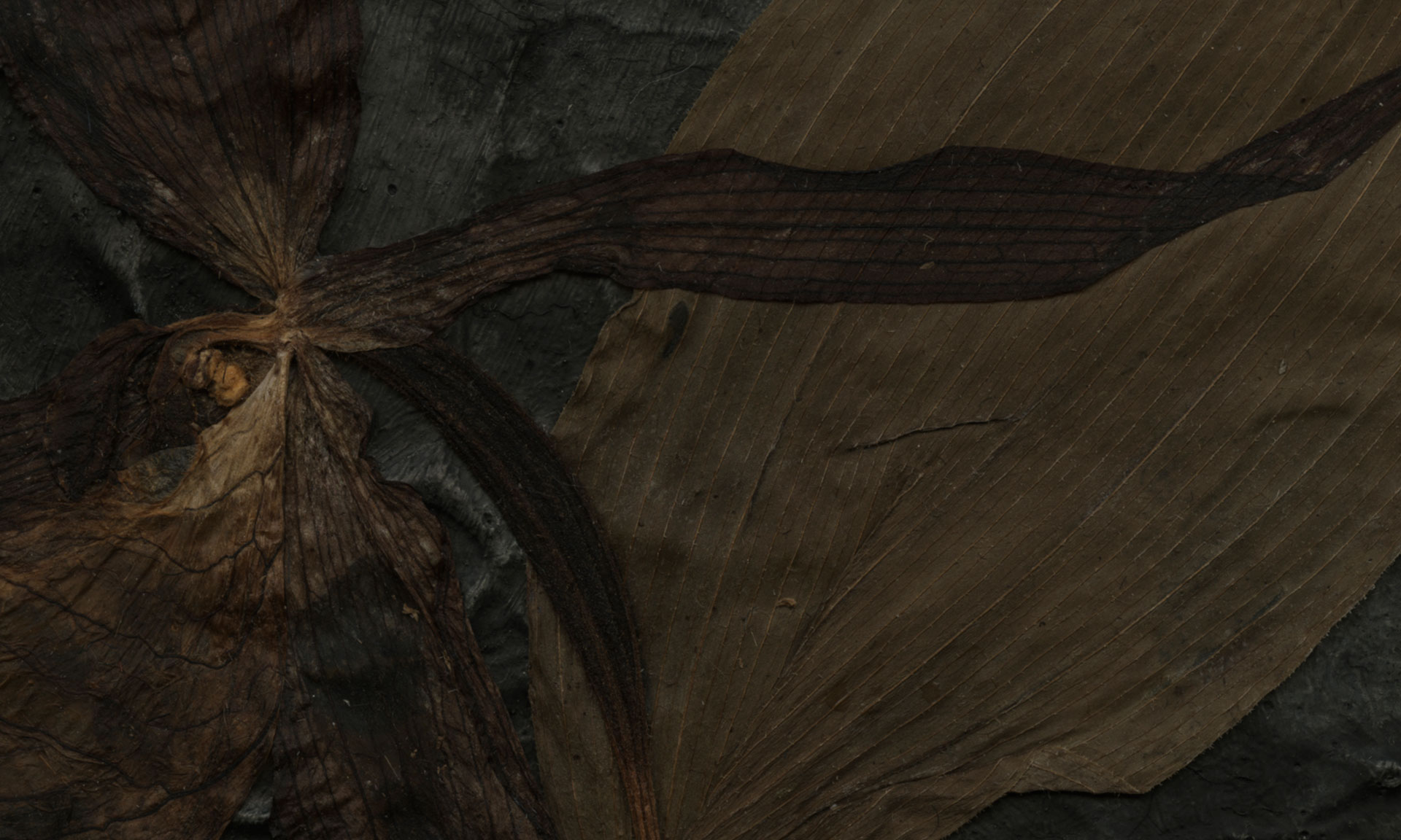 Det typiskt skandinaviska i annorlunda tolkning