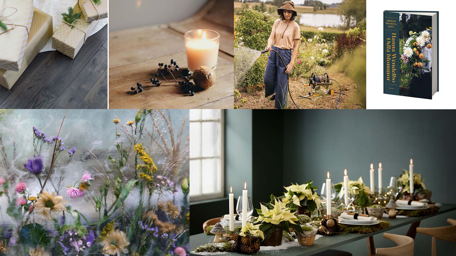 Fem blomstrande nyheter