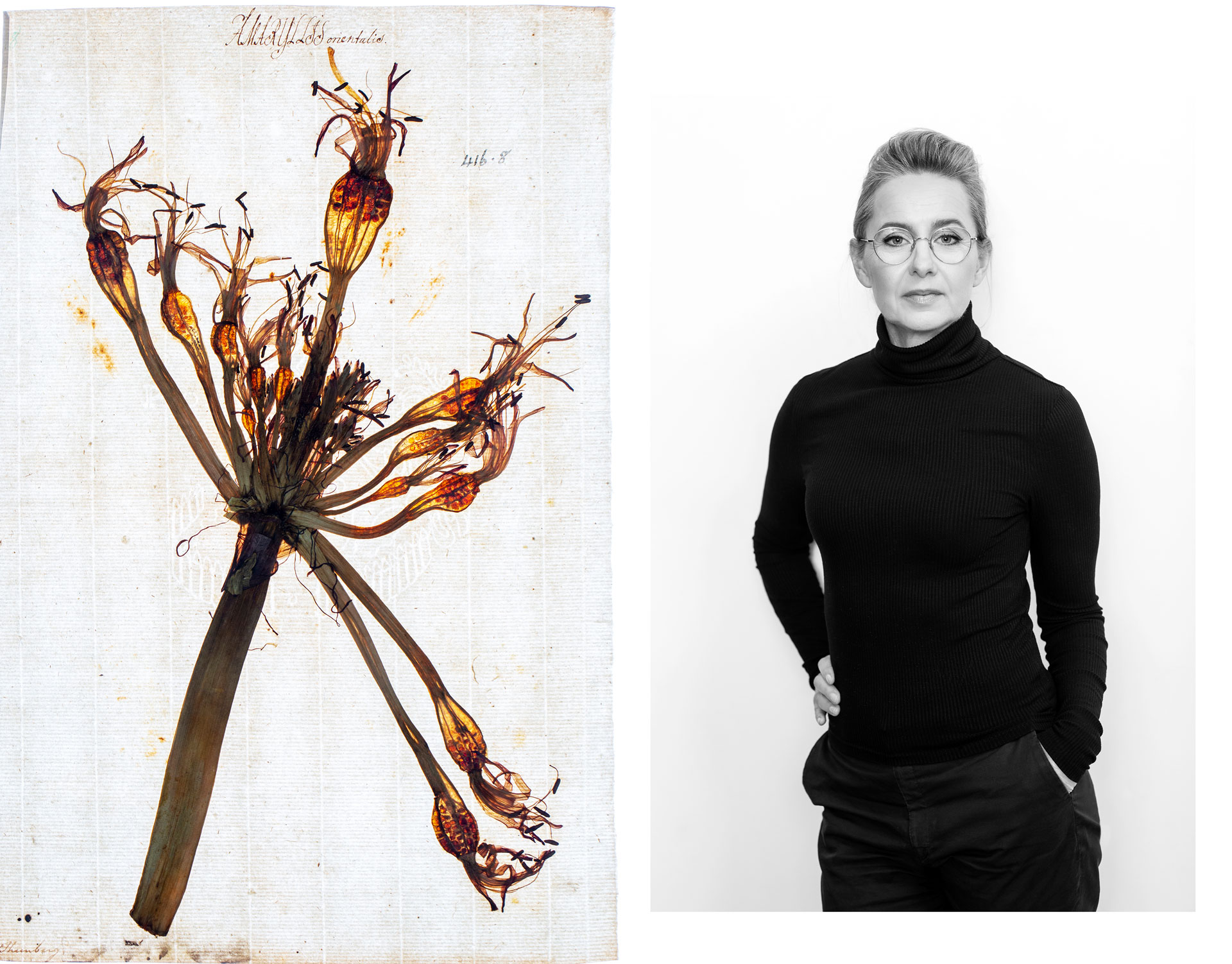 Fotografisk studie av Linnés herbarium