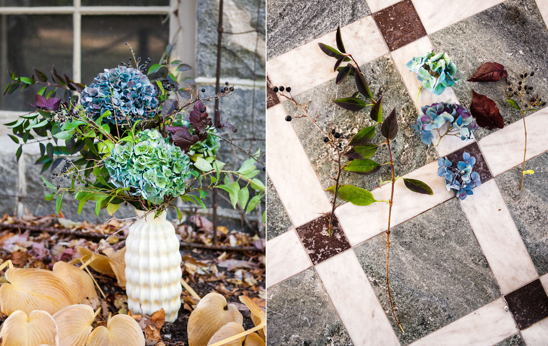 Höstens färgsprakande kvistar