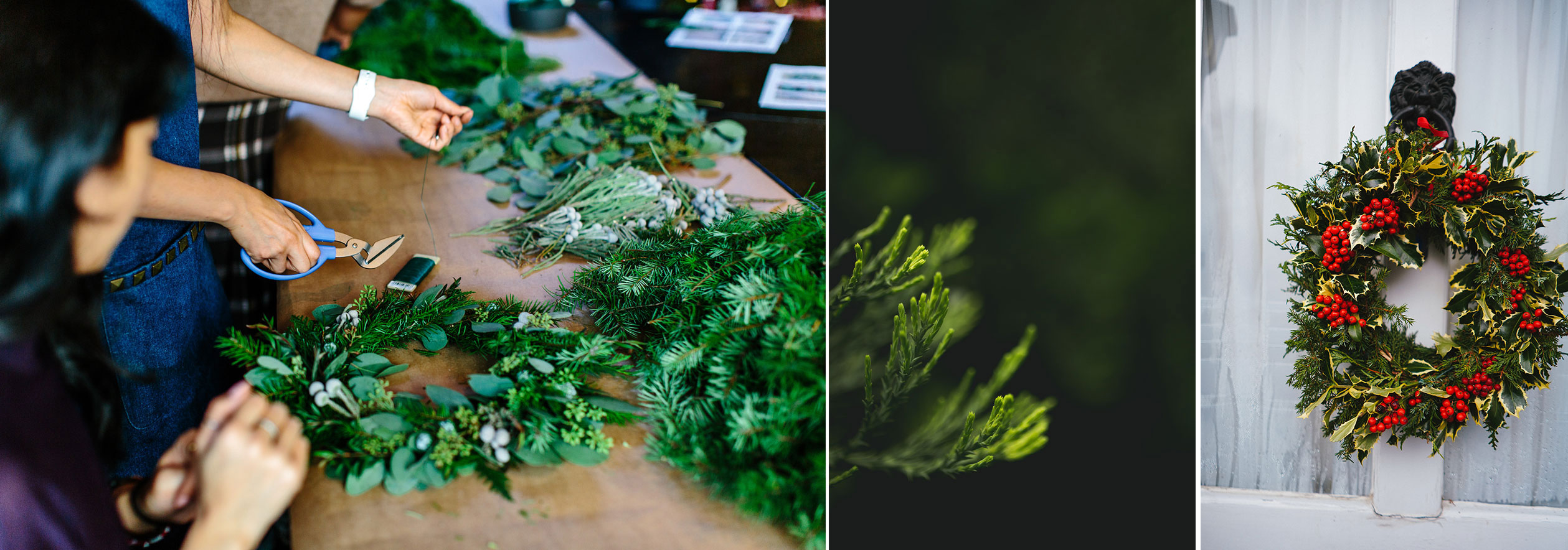 Gör julen lite grönare med en barrväxt som inte barrar