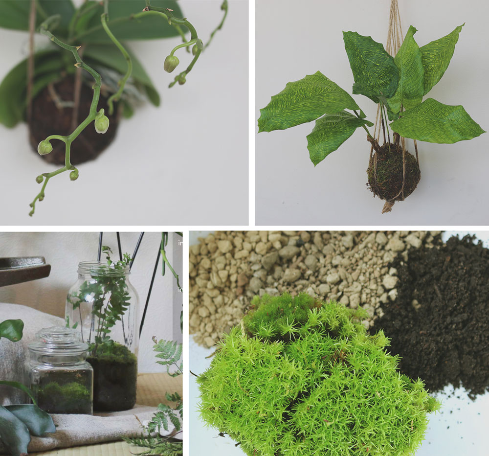 Hos Öken är det aldrig öken