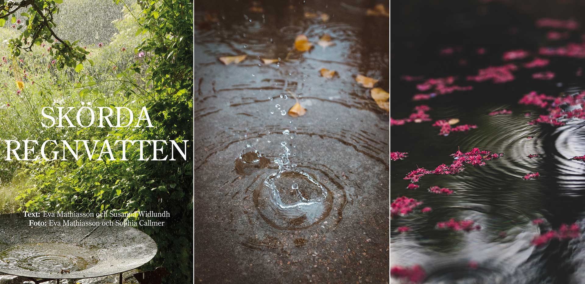 Att skörda regnvatten.