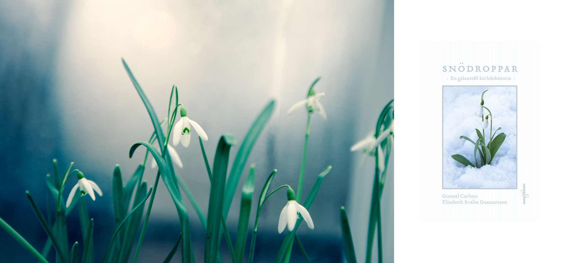 Vårens vita budbärare