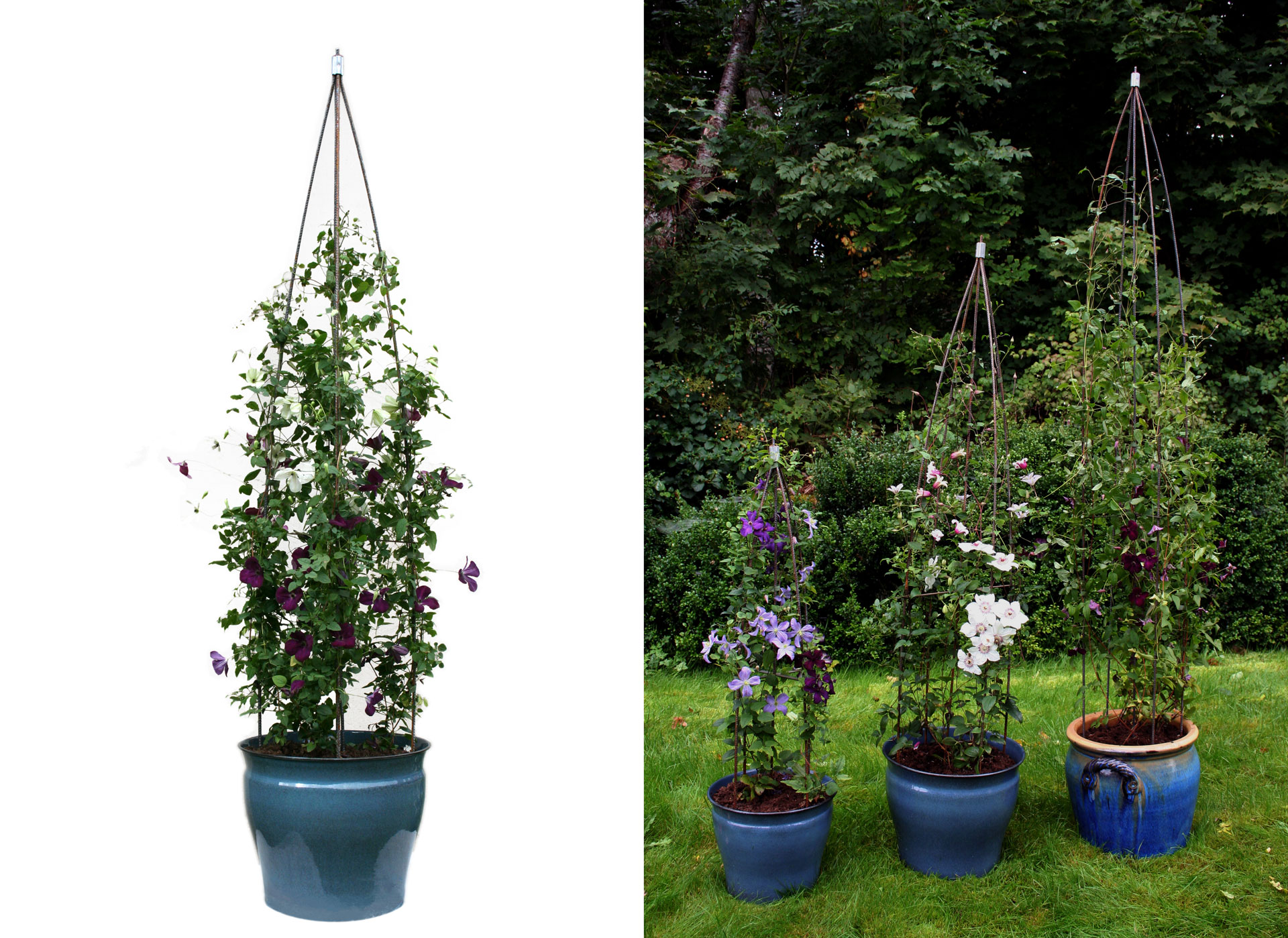 Svängstastödet - växtstödet det svänger om