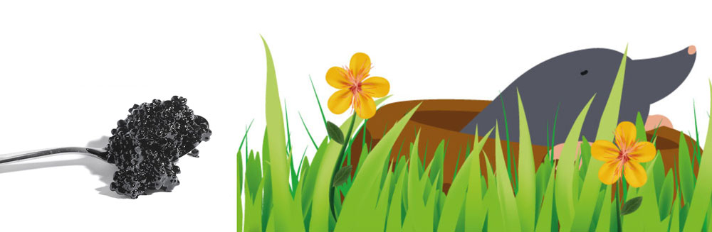 Mullvadsfritt utan gift