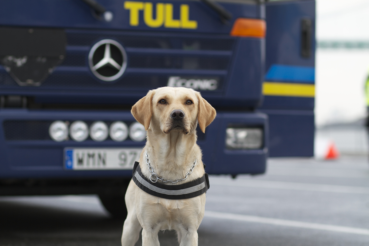 Tullverket visar upp sin verksamhet