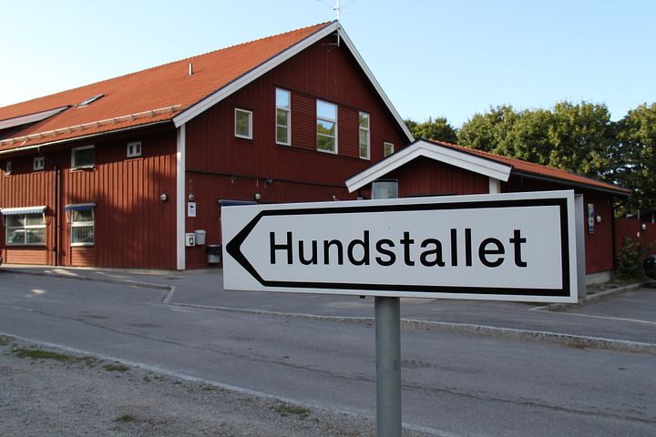 Upptäck Hundstallet och deras verksamhet på Elmia Hund