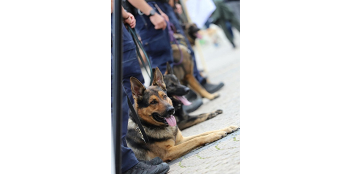 Polisen visar upp och berättar om sin hundverksamhet på Elmia Hund