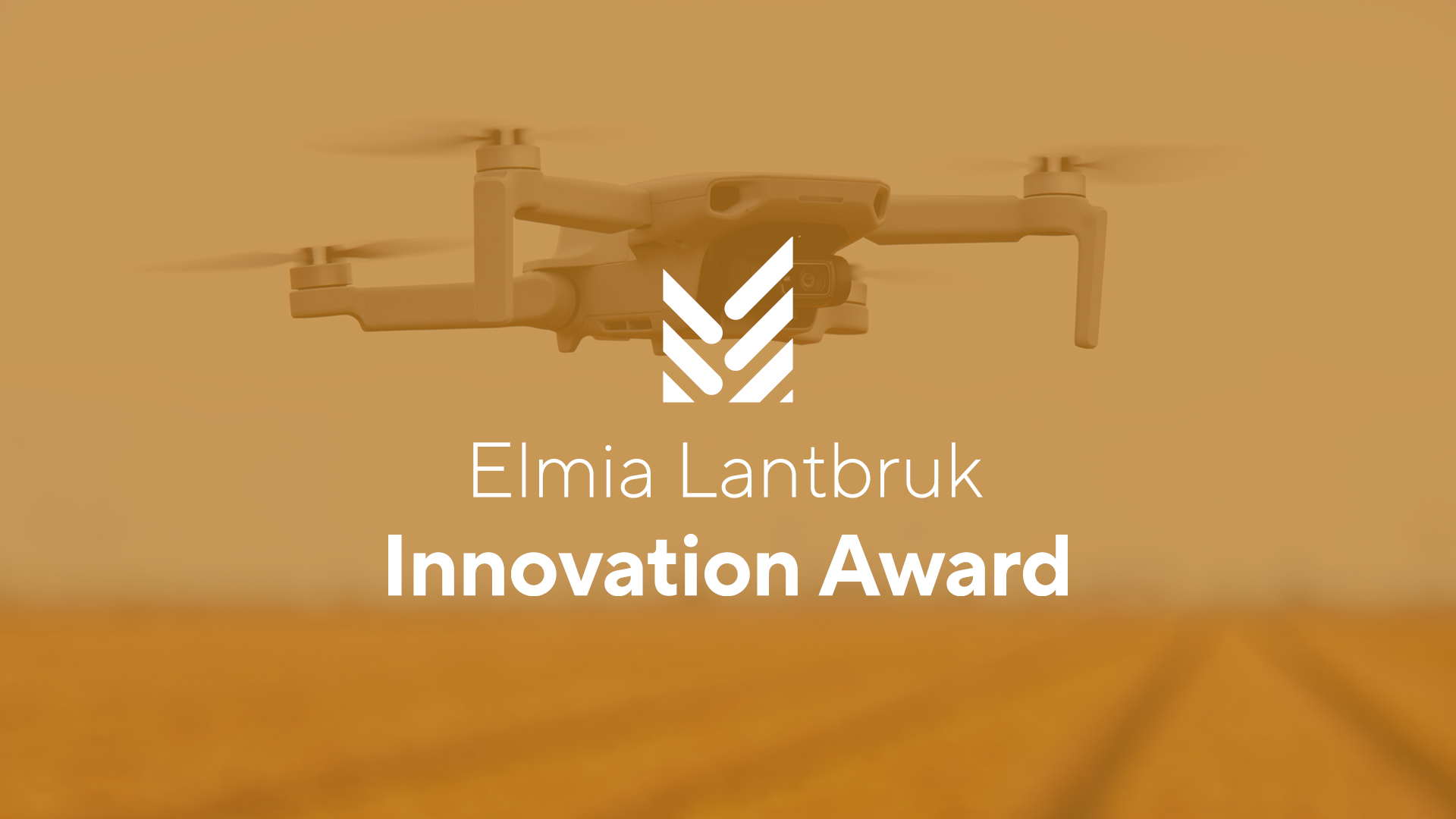 Innovation Award